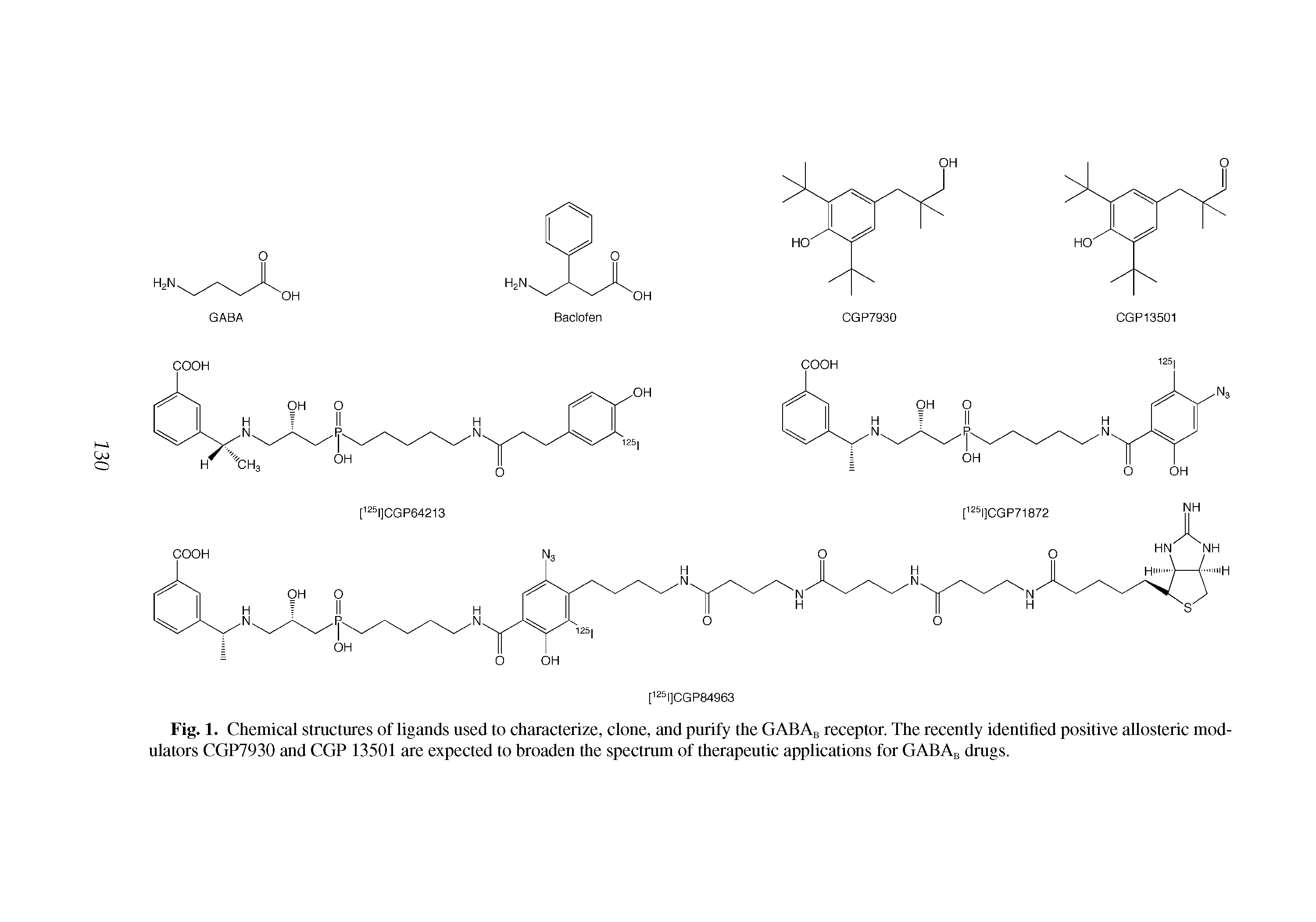 Fig. 1. Chemical structures of ligands used to characterize, clone, and purify the GABAb receptor. The recently identified positive allosteric modulators CGP7930 and CGP 13501 are expected to broaden the spectrum of therapeutic applications for GABAb drugs.