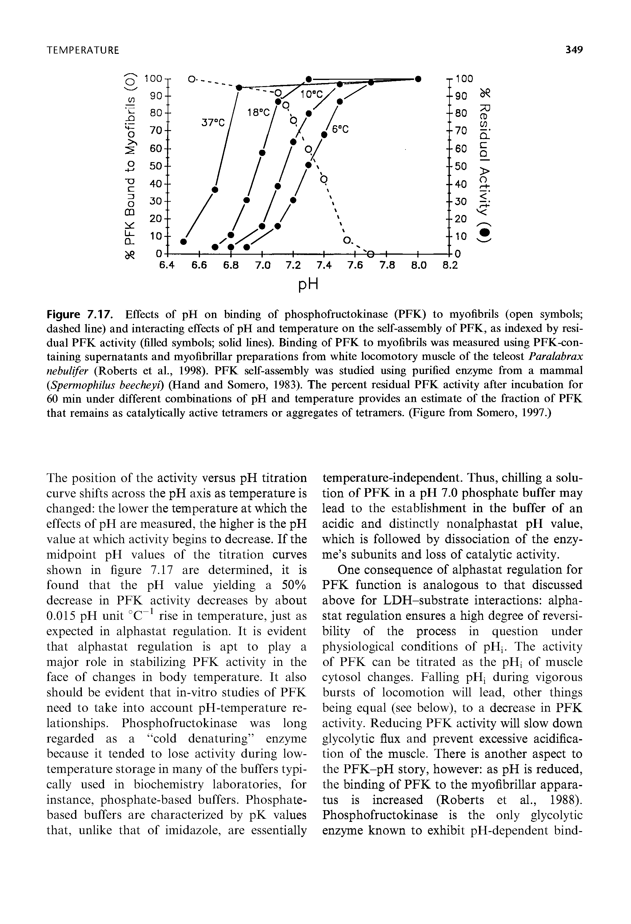 Figure 7.17. Effects of pH on binding of phosphofructokinase (PFK) to myofibrils (open symbols dashed line) and interacting effects of pH and temperature on the self-assembly of PFK, as indexed by residual PFK activity (filled symbols solid lines). Binding of PFK to myofibrils was measured using PFK-con-taining supernatants and myofibrillar preparations from white locomotory muscle of the teleost Paralabrax nebulifer (Roberts et al., 1998). PFK self-assembly was studied using purified enzyme from a mammal (Spermophilus beecheyi) (Hand and Somero, 1983). The percent residual PFK activity after incubation for 60 min under different combinations of pH and temperature provides an estimate of the fraction of PFK that remains as catalytically active tetramers or aggregates of tetramers. (Figure from Somero, 1997.)...