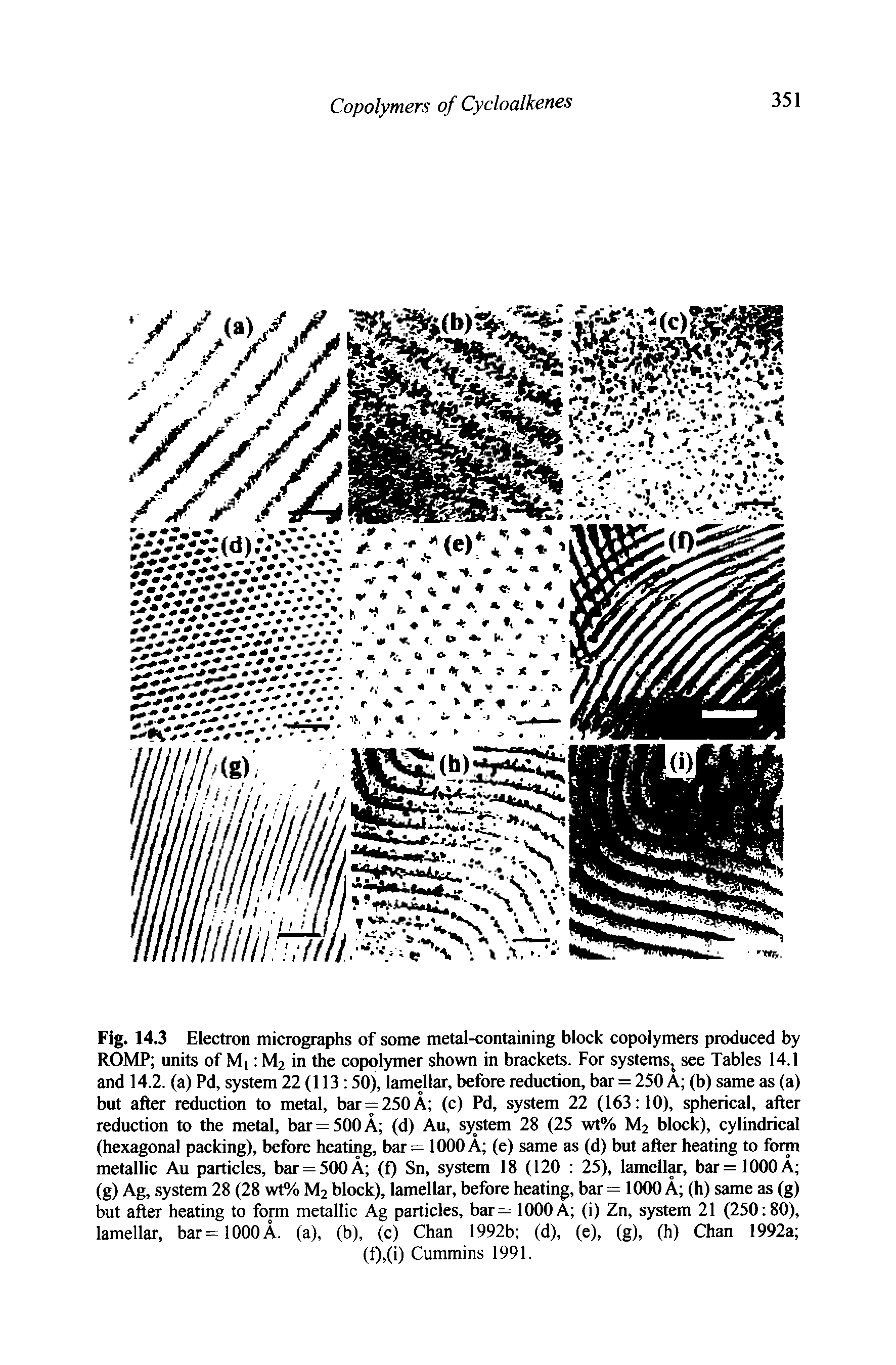 Fig. 14.3 Electron micrographs of some metal-containing block copolymers produced by ROMP units of M M2 in the copolymer shown in brackets. For systems see Tables 14.1 and 14.2. (a) Pd, system 22 (113 50), lamellar, before reduction, bar = 250 A (b) same as (a) but after reduction to metal, bar ==250 A (c) Pd, system 22 (163 10), spherical, after reduction to the metal, bar = 500 A (d) Au, system 28 (25 wt% M2 block), cylindrical (hexagonal packing), before heating, bar= 1000 A (e) same as (d) but after heating to form metallic Au particles, bar = 500 A (f) Sn, system 18 (120 25), lamellar, bar =1000 A (g) Ag, system 28 (28 wt% M2 block), lamellar, before heating, bar= 1000 A (h) same as (g) but after heating to form metallic Ag particles, bar= 1000A (i) Zn, system 21 (250 80), lamellar, bar = 1000 A. (a), (b), (c) Chan 1992b (d), (e), (g), (h) Chan 1992a ...