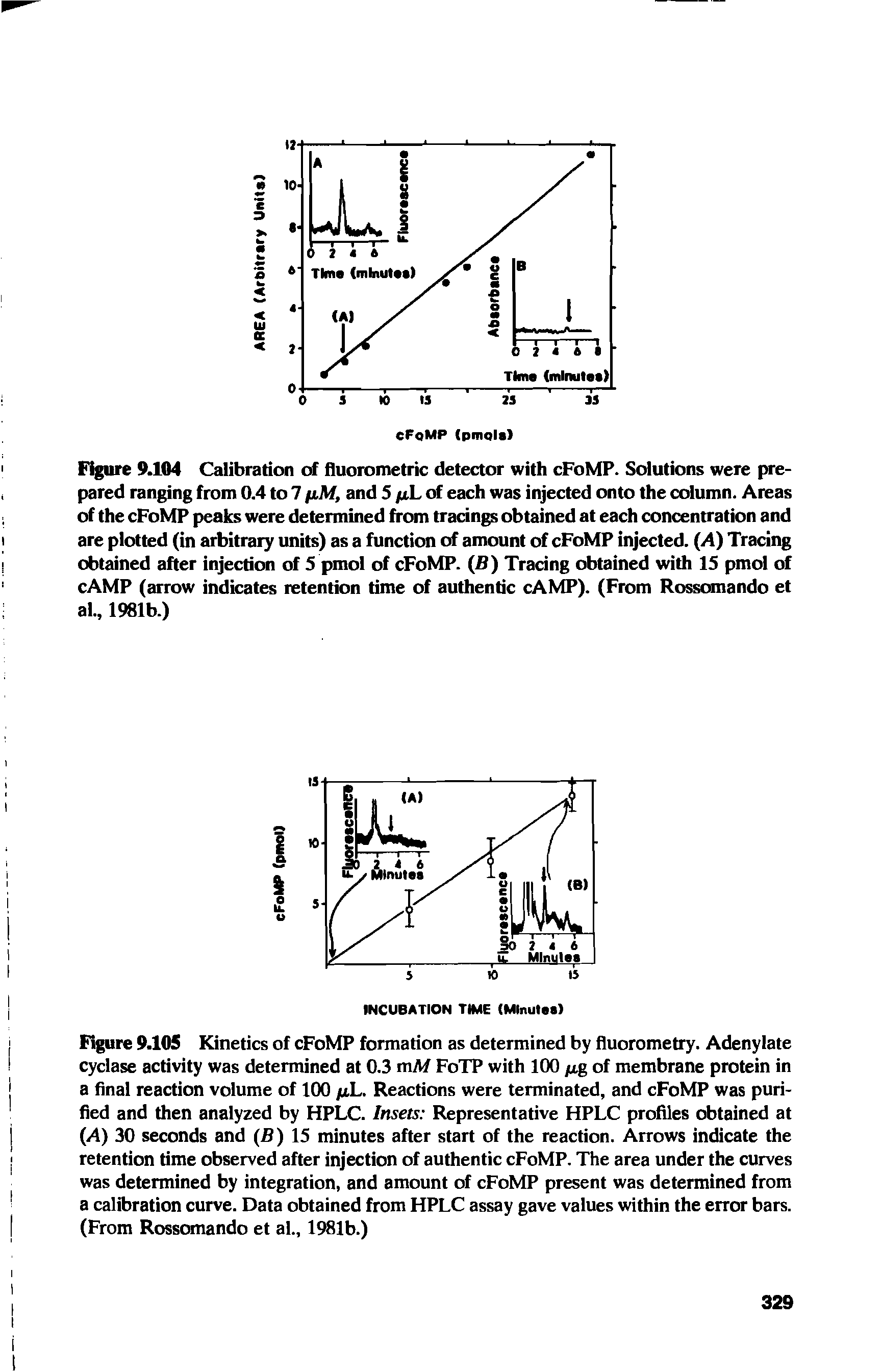Figure 9.105 Kinetics of cFoMP formation as determined by fluorometry. Adenylate cyclase activity was determined at 0.3 mM FoTP with 100 jug of membrane protein in a final reaction volume of 100 yu.L. Reactions were terminated, and cFoMP was purified and then analyzed by HPLC. Insets Representative HPLC profiles obtained at (A) 30 seconds and (B) 15 minutes after start of the reaction. Arrows indicate the retention time observed after injection of authentic cFoMP. The area under the curves was determined by integration, and amount of cFoMP present was determined from a calibration curve. Data obtained from HPLC assay gave values within the error bars. (From Rossomando et al., 1981b.)...
