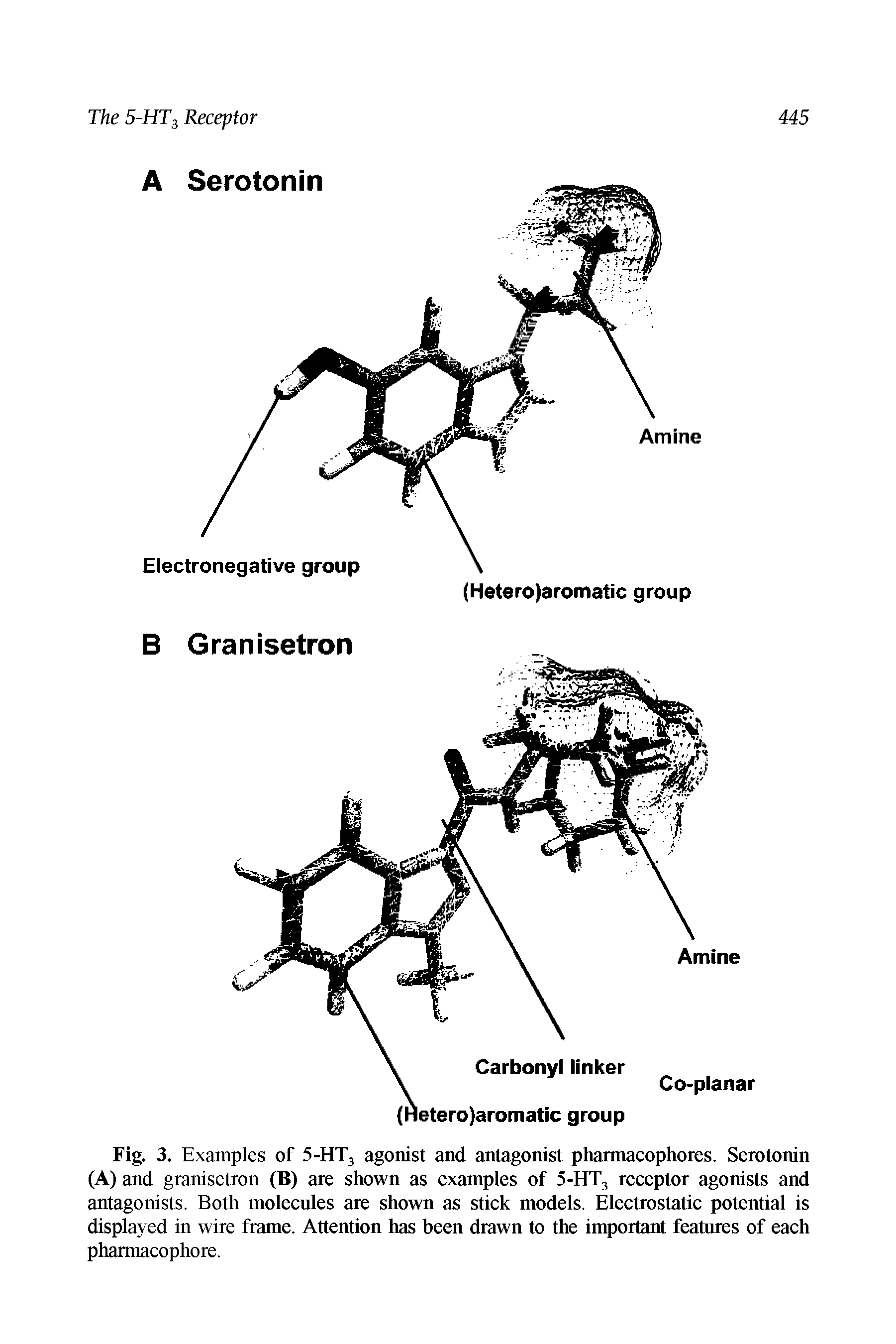 Fig. 3. Examples of 5-HT3 agonist and antagonist pharmacophores. Serotonin (A) and granisetron (B) are shown as examples of 5-HT3 receptor agonists and antagonists. Both molecules are shown as stick models. Electrostatic potential is displayed in wire frame. Attention has been drawn to the important features of each pharmacophore.