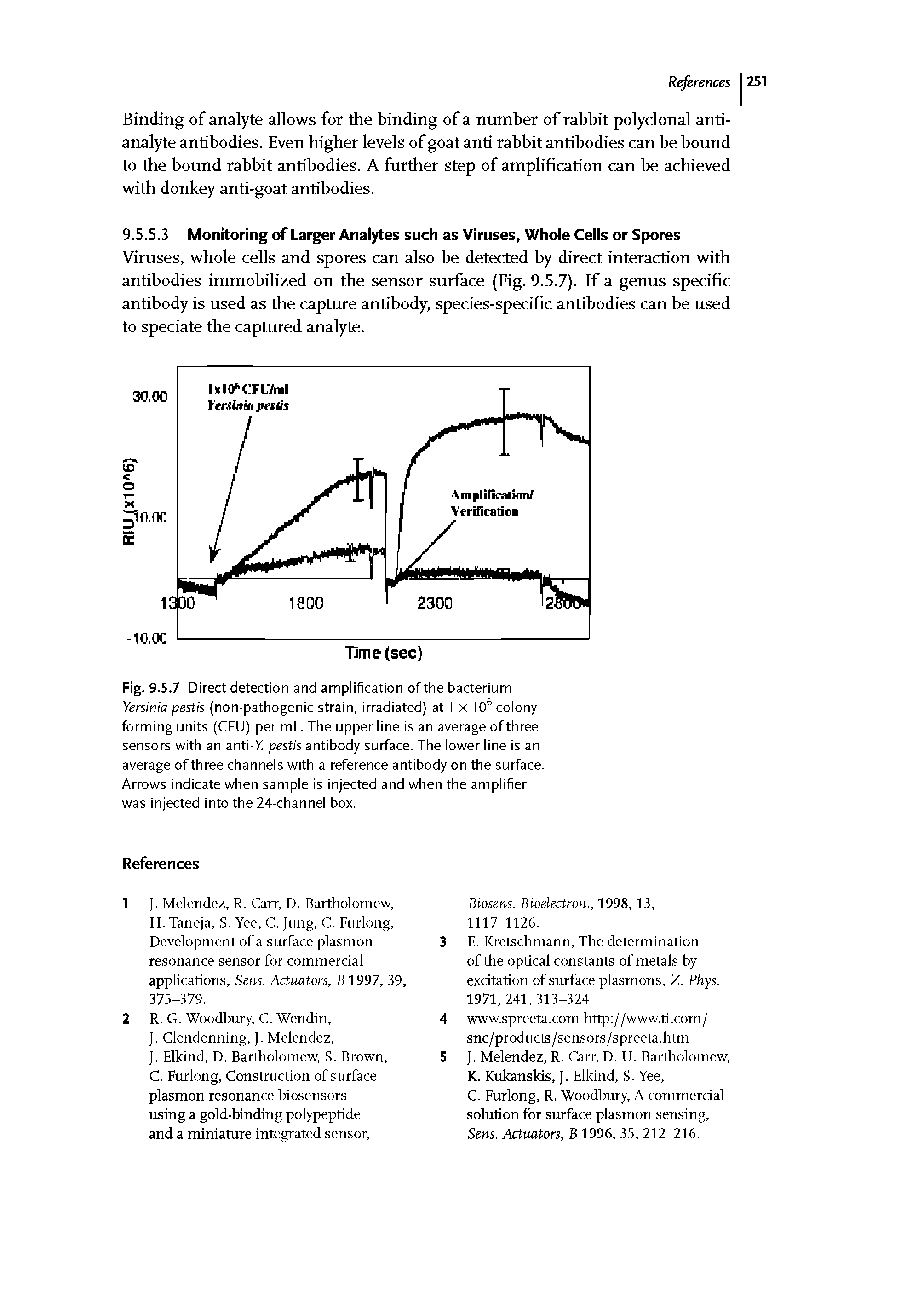 Fig. 9.5.7 Direct detection and amplification of the bacterium Yersinia pestis (non-pathogenic strain, irradiated) at 1 x 10 colony forming units (CFU) per mt. The upper line is an average of three sensors with an anti-Vf pestis antibody surface. The lower line is an average of three channels with a reference antibody on the surface. Arrows indicate when sample is injected and when the amplifier was injected into the 24-channel box.