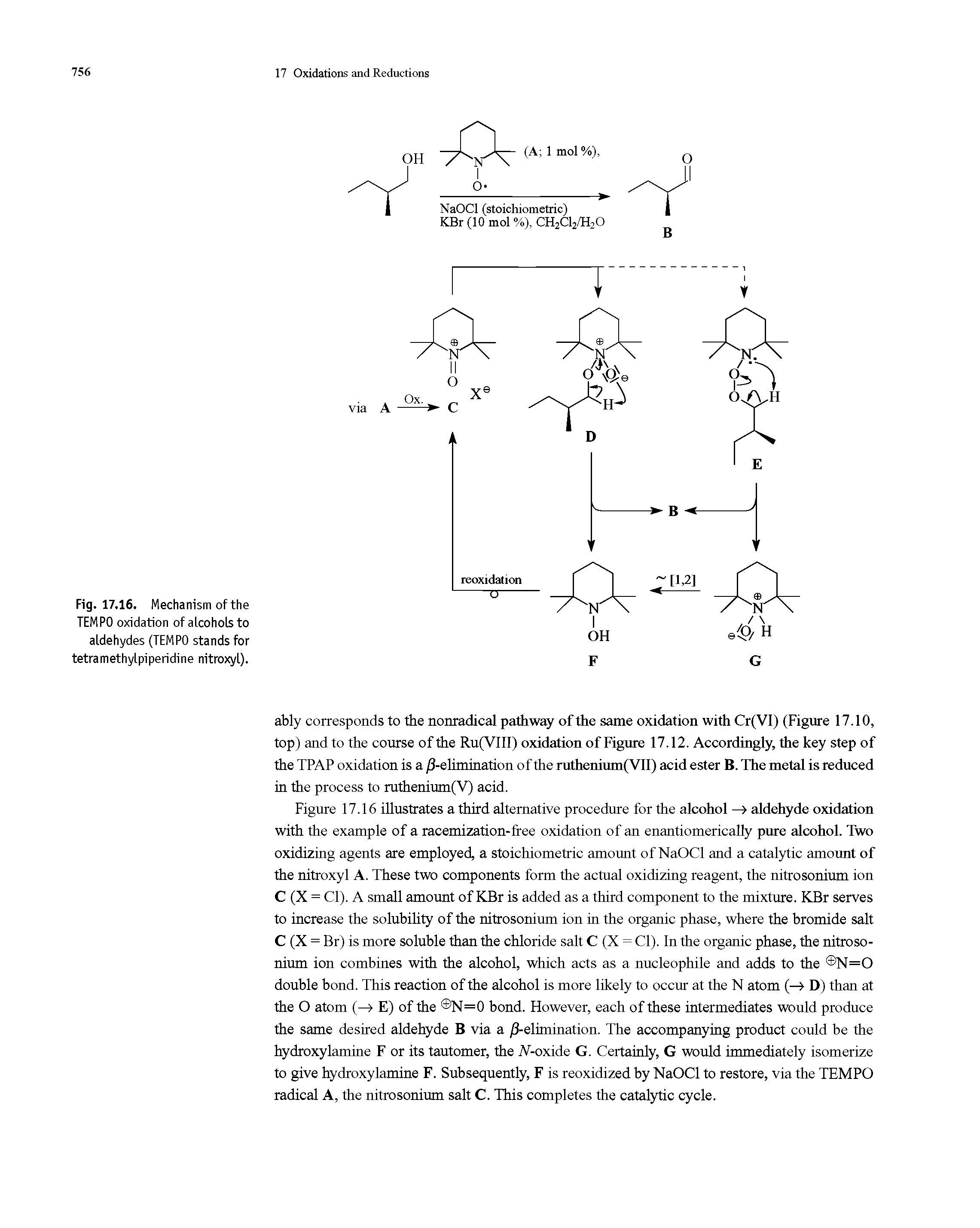 Fig. 17,16. Mechanism of the TEMPO oxidation of alcohols to aldehydes (TEMPO stands for tetramethylpiperidine nitroxyl).