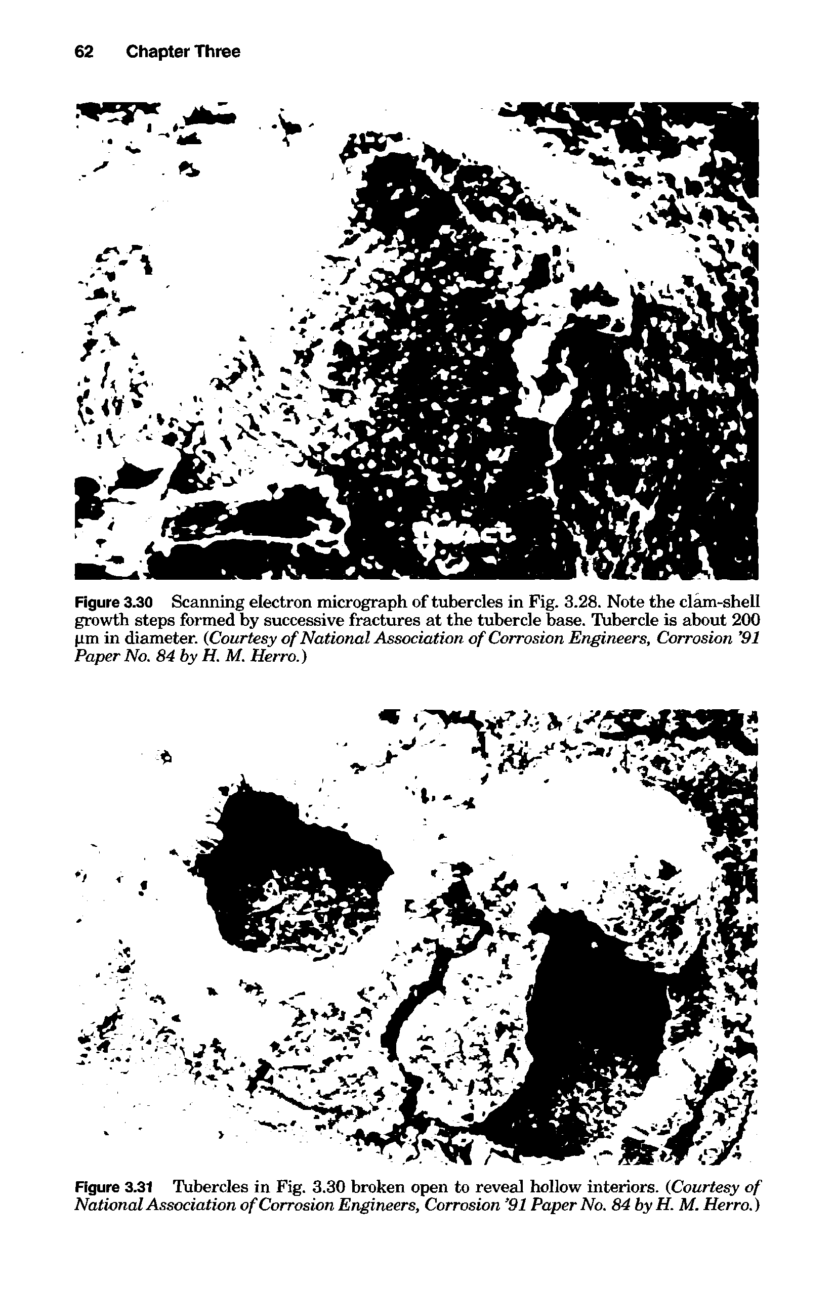 Figure 3.30 Scanning electron micrograph of tubercles in Fig. 3.28. Note the clam-shell growth steps formed by successive fractures at the tubercle base. Tubercle is about 200 pm in diameter. (Courtesy of National Association of Corrosion Engineers, Corrosion 91 Paper No. 84 by H. M. Herro.)...