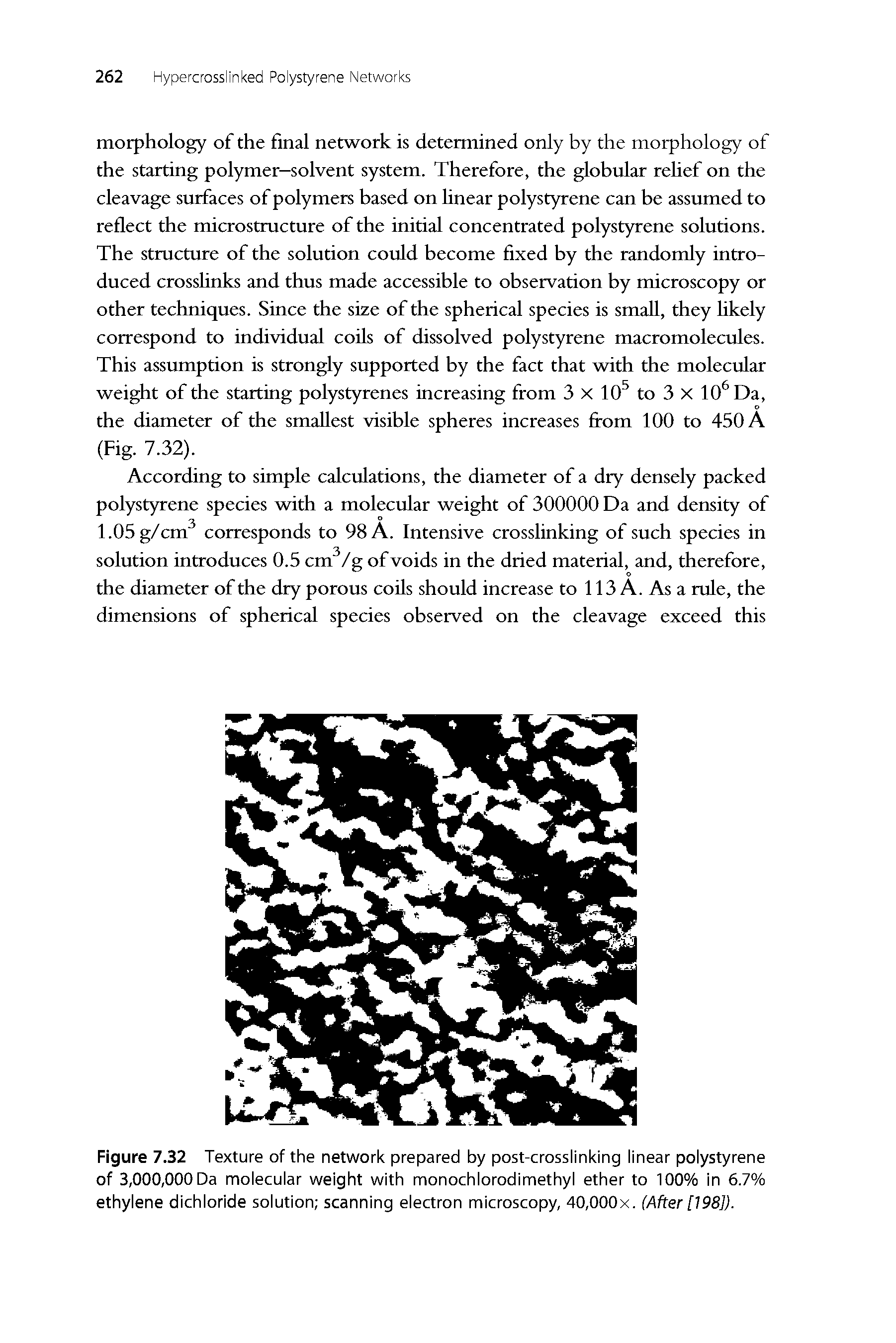 Figure 7.32 Texture of the network prepared by post-crosslinking linear polystyrene of 3,000,000 Da molecular weight with monochlorodimethyl ether to 100% in 6.7% ethylene dichloride solution scanning electron microscopy, 40,000x. (After [198]).