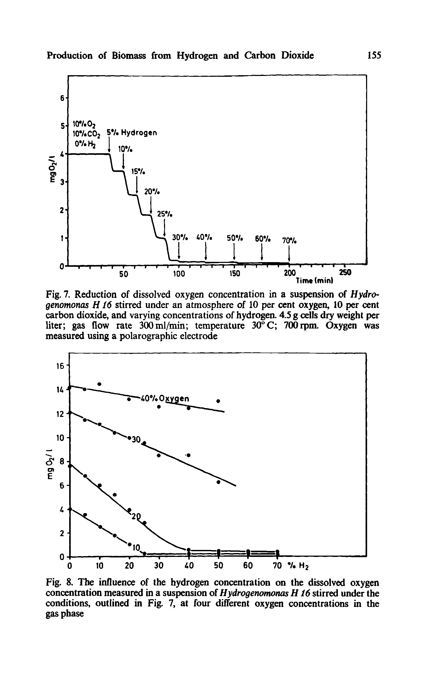 Fig. 7. Reduction of dissolved oxygen concentration in a suspension of Hydro-genomonas H16 stirred under an atmosphere of 10 per cent oxygen, 10 per cent carbon dioxide, and varying concentrations of hydrogea 4.5 g cells dry weight per liter gas flow rate 300ml/min temperature 30°C 700rpm. Oxygen was measured using a polarographic electrode...