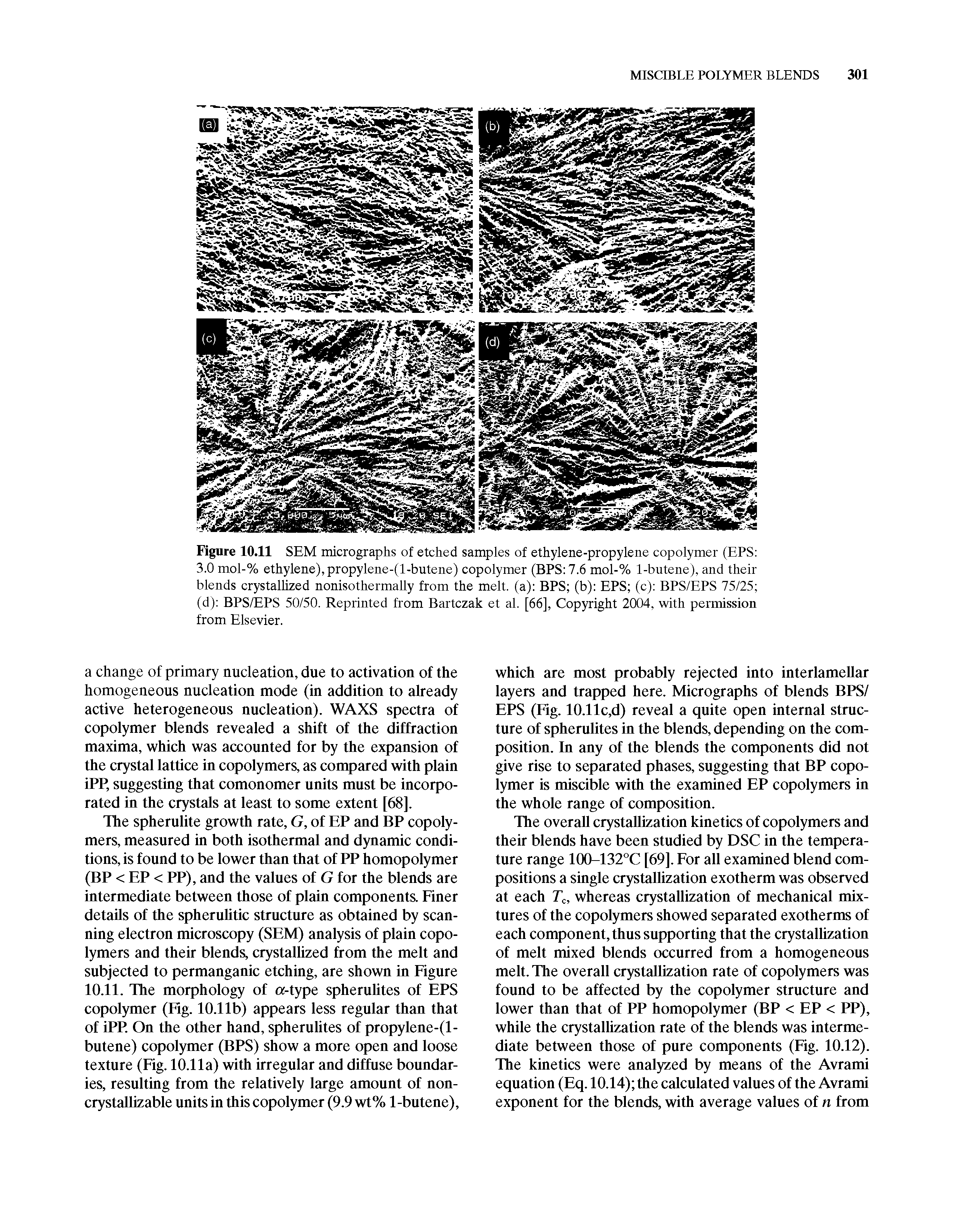 Figure 10.11 SEM micrographs of etched samples of ethylene-propylene copolymer (EPS 3.0 mol-% ethylene), propylene-(l-butene) copolymer (BPS 7.6 mol-% 1-butene), and their blends crystallized nonisothermally from the melt, (a) BPS (b) EPS (c) BPS/EPS 75/25 (d) BPS/EPS 50/50. Reprinted from Bartczak et al. [66], Copyright 2004, with permission from Elsevier.