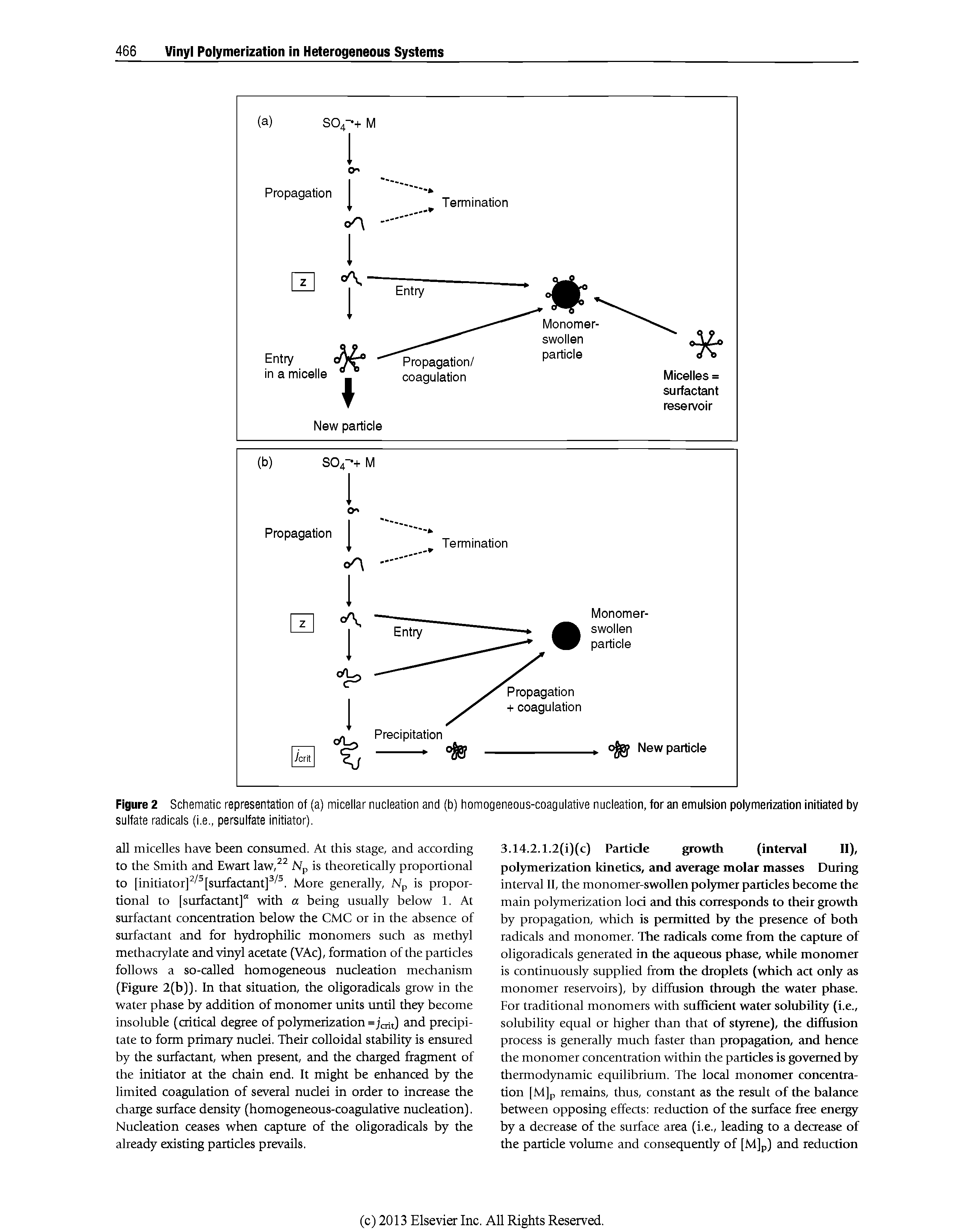 Figure 2 Schematic representation of (a) miceiiar nucieation and (b) homogeneous-coaguiative nucieation, for an emulsion polymerization initiated by suifate radicais (i.e., persuifate initiator).