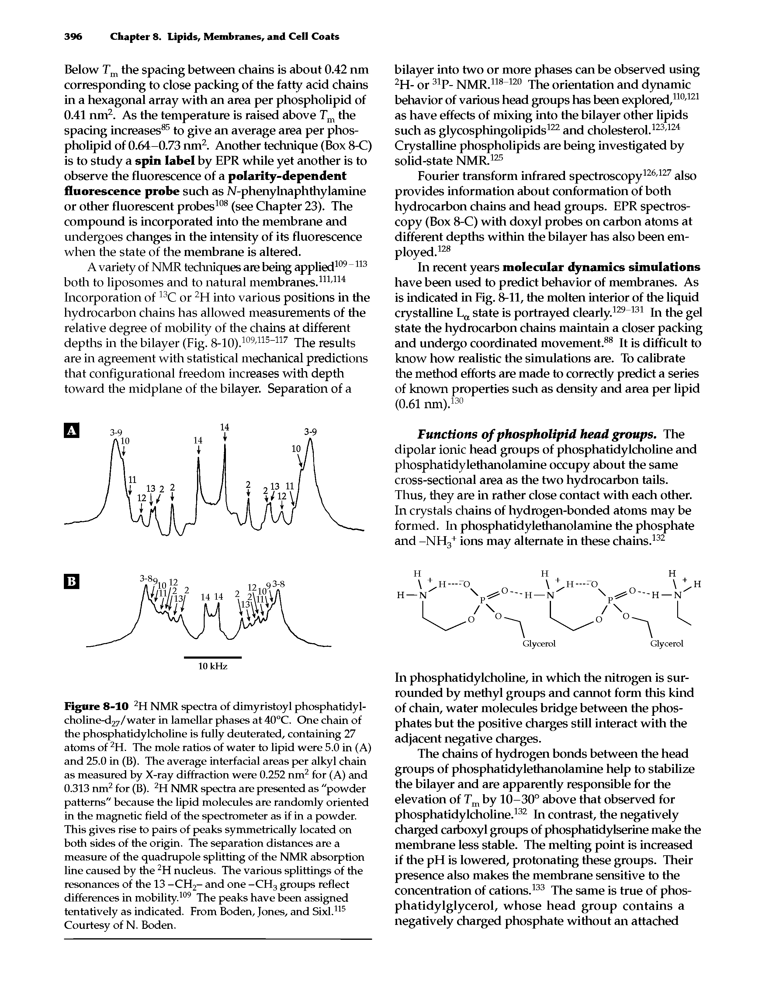 Figure 8-10 2H NMR spectra of dimyristoyl phosphatidyl-cholme-d27/water in lamellar phases at 40°C. One chain of the phosphatidylcholine is fully deuterated, containing 27 atoms of 2H. The mole ratios of water to lipid were 5.0 in (A) and 25.0 in (B). The average interfacial areas per alkyl chain as measured hy X-ray diffraction were 0.252 nm2 for (A) and 0.313 nm2 for (B). 2H NMR spectra are presented as "powder patterns" because the lipid molecules are randomly oriented in the magnetic field of the spectrometer as if in a powder. This gives rise to pairs of peaks symmetrically located on both sides of the origin. The separation distances are a measure of the quadrupole splitting of the NMR absorption line caused by the 2H nucleus. The various splittings of the resonances of the 13 -CH2- and one -CH3 groups reflect differences in mobility.109 The peaks have been assigned tentatively as indicated. From Boden, Jones, and Sixl.115 Courtesy of N. Boden.