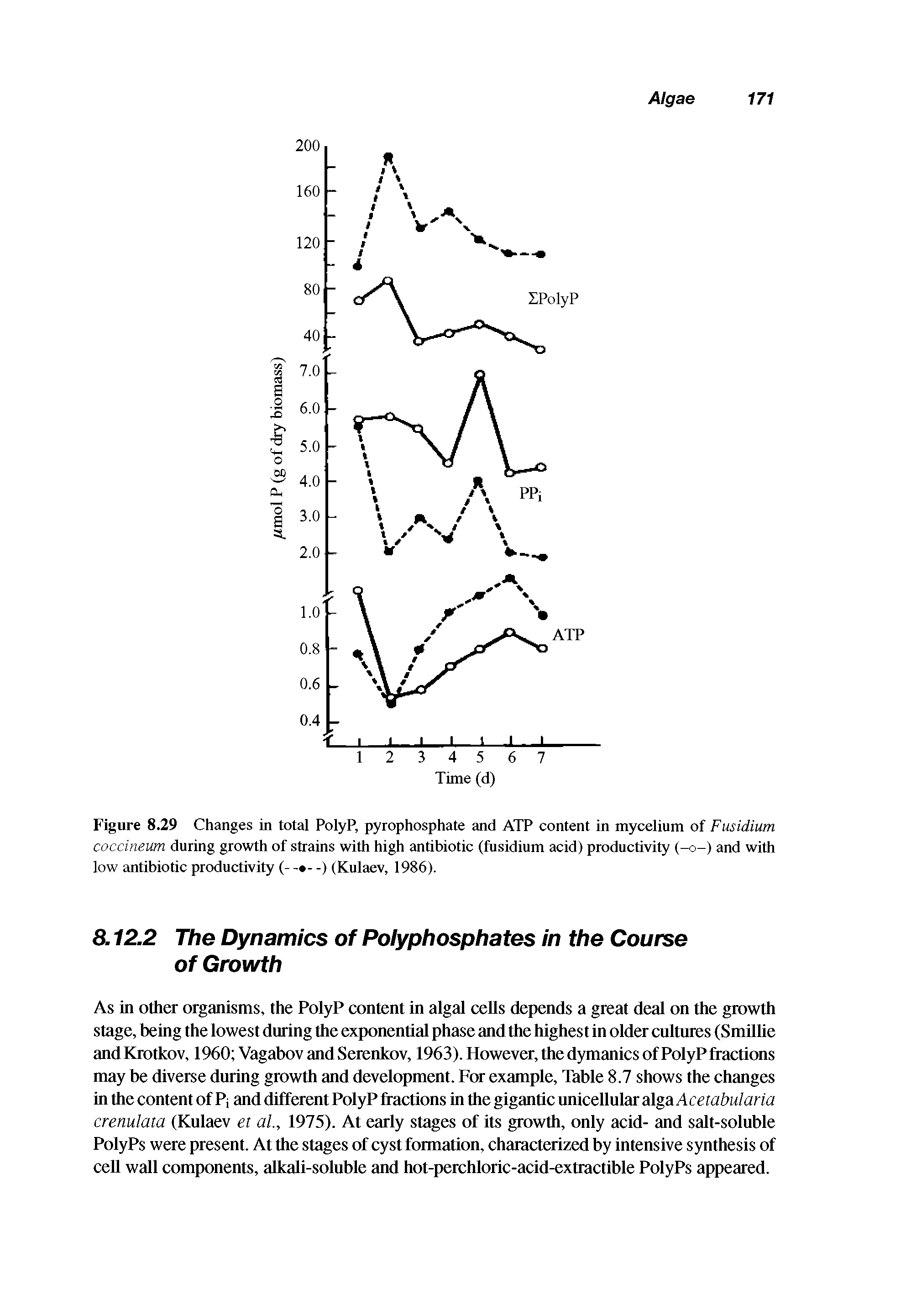 Figure 8.29 Changes in total PolyP, pyrophosphate and ATP content in mycelium of Fusidium coccineum during growth of strains with high antibiotic (fusidium acid) productivity (-o-) and with low antibiotic productivity (- -) (Kulaev, 1986).