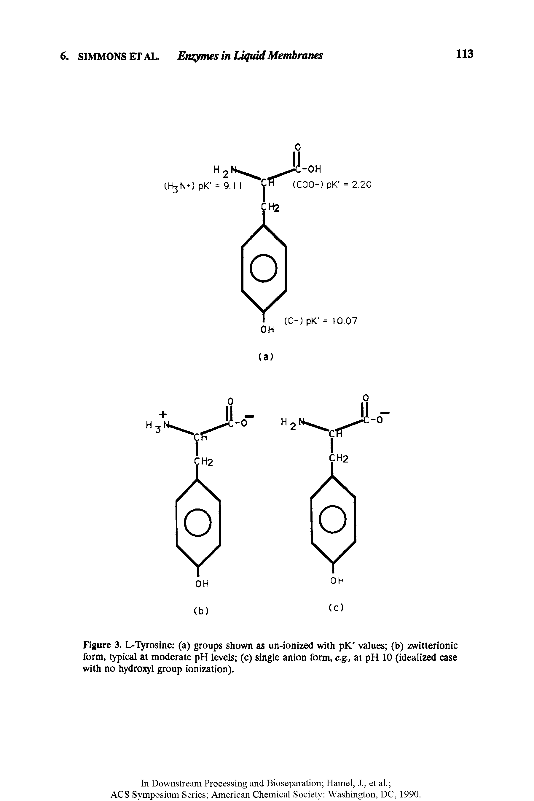 Figure 3. L-Tyrosine (a) groups shown as un-ionized with pK values (b) zwitterionic form, typical at moderate pH levels (c) single anion form, e.g., at pH 10 (idealized case with no hydroxyl group ionization).