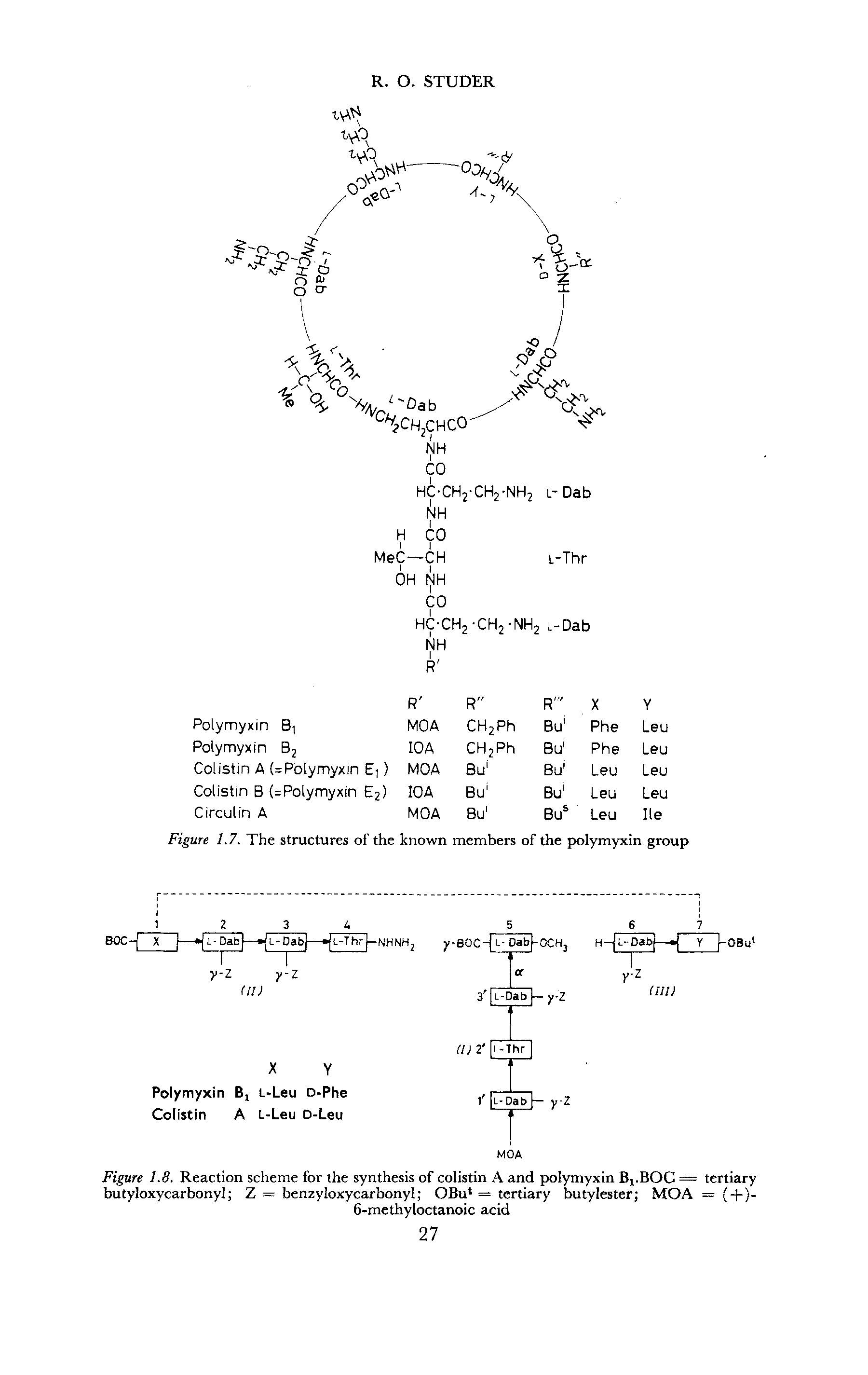 Figure 1.7. The structures of the known members of the polymyxin group...