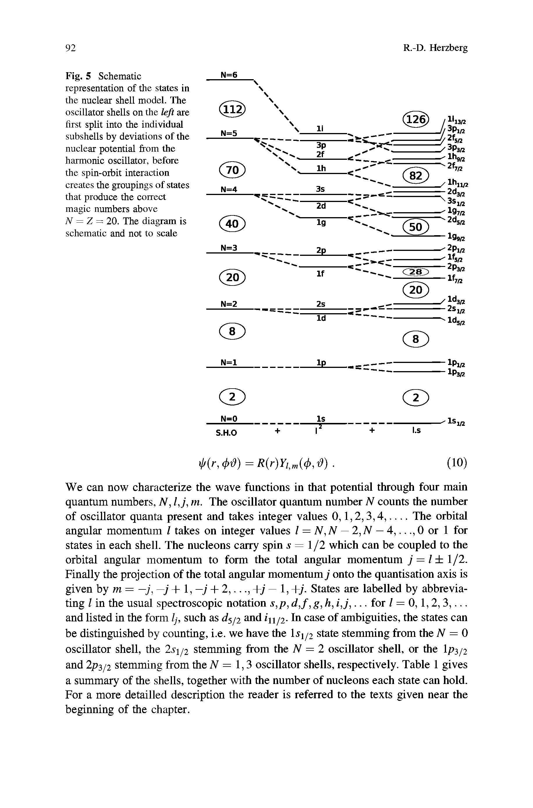 Fig. 5 Schematic representation of the states in the nuclear shell model. The oscillator shells on the left are first split into the individual subshells by deviations of the nuclear potential from the harmonic oscillator, before the spin-orbit interaction creates the groupings of states that produce the correct magic numbers above N = Z = 20. The diagram is schematic and not to scale...