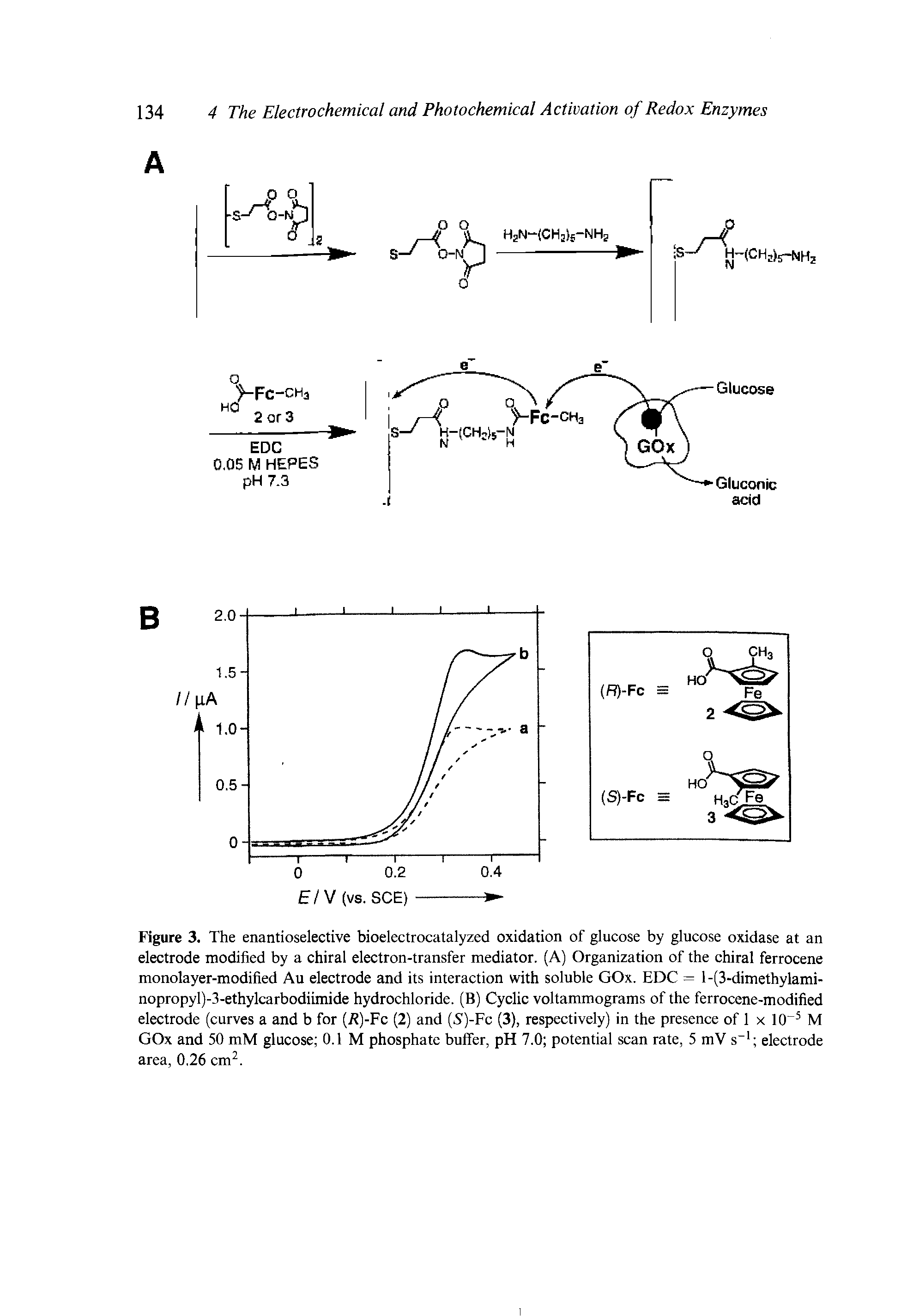 Figure 3. The enantioselective bioelectrocatalyzed oxidation of glucose by glucose oxidase at an electrode modified by a chiral electron-transfer mediator. (A) Organization of the chiral ferrocene monolayer-modified Au electrode and its interaction with soluble GOx. EDC = l-(3-dimethylami-nopropyl)-3-ethylcarbodiimide hydrochloride. (B) Cyclic voltammograms of the ferrocene-modified electrode (curves a and b for (i )-Fc (2) and (5)-Fc (3), respectively) in the presence of 1 x 10 M GOx and 50 mM glucose 0.1 M phosphate buffer, pH 7.0 potential scan rate, 5 mV s electrode area, 0.26 cm. ...