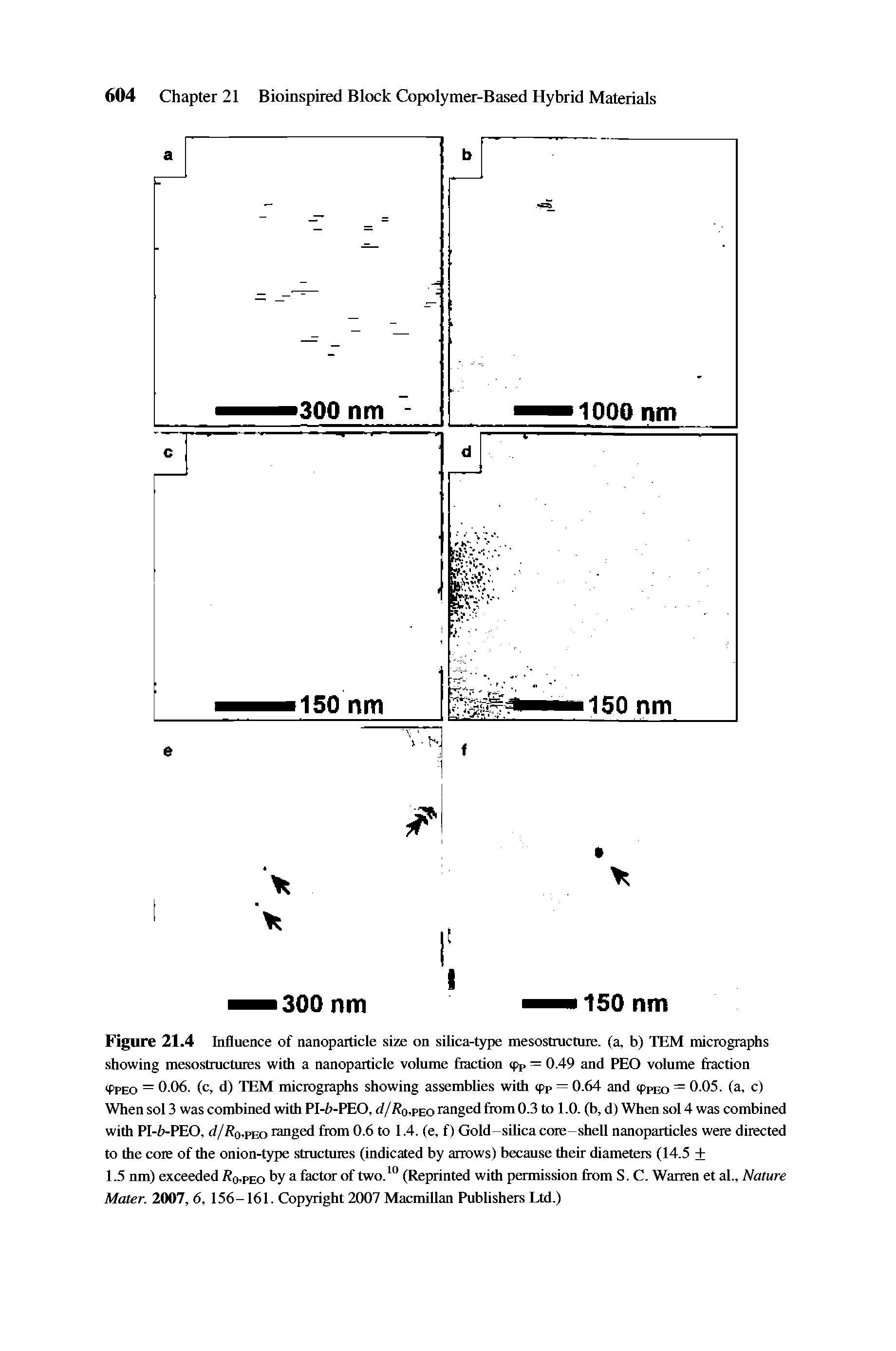 Figure 21.4 Influence of nanoparticle size on silica-type mesostructuie. (a, b) TEM micrographs showing mesostructuies with a nanoparticle volume fraction <pp = 0.49 and PEO volume fraction ifPEO = 0.06. (c, d) TEM micrographs showing assemblies with <pP = 0.64 and <pPEO = 0.05. (a, c) When sol 3 was combined with PI-b-PEO, d jRq.peo ranged from 0.3 to 1.0. (b, d) When sol 4 was combined with PI-b-PEO, (/// o,peo ranged from 0.6 to 1.4. (e, f) Gold-silica core-shell nanoparticles were directed to the core of the onion-type structures (indicated by arrows) because their diameters (14.5 +...