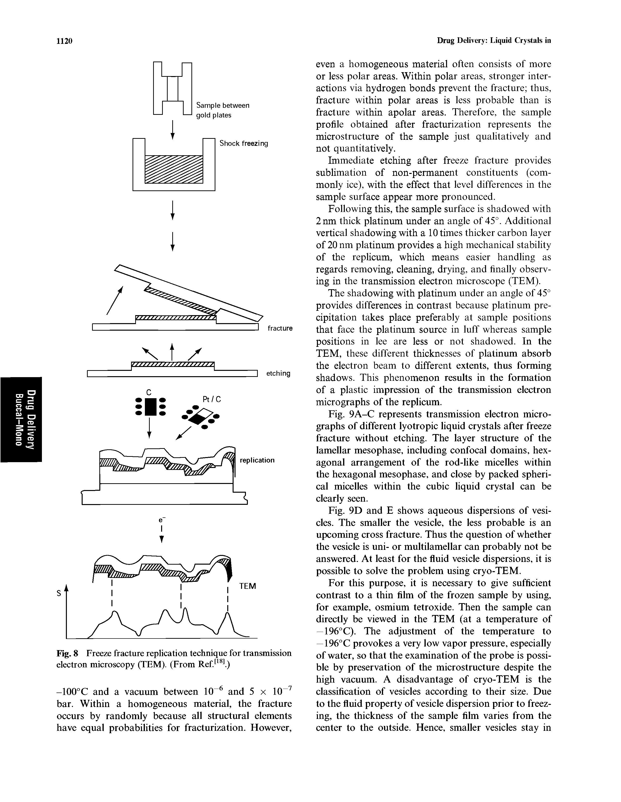 Fig. 8 Freeze fracture replication technique for transmission electron microscopy (TEM). (From RefJ l)...