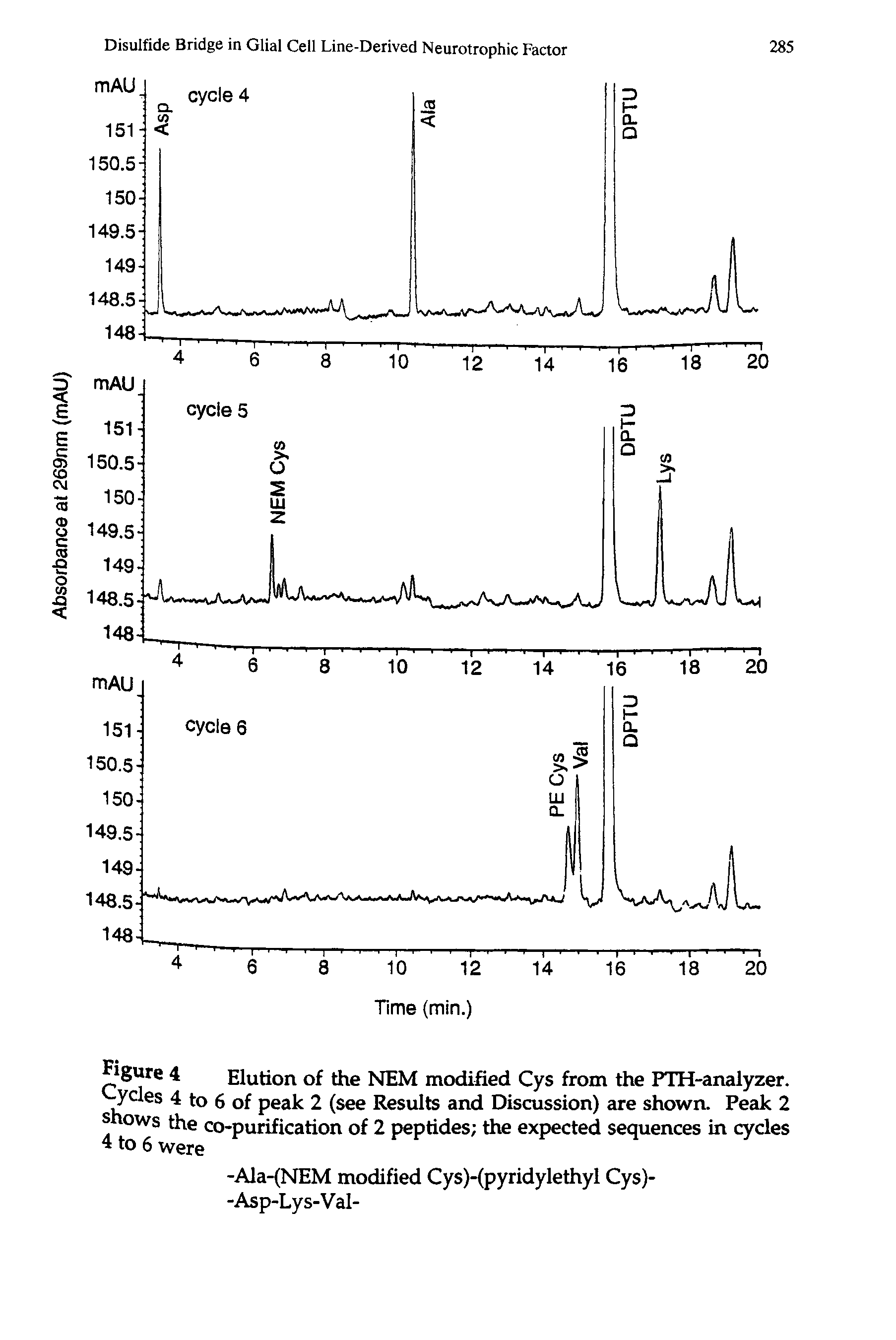 Figure 4 Elution of the NEM modified Cys from the PTH-analyzer. Cycles 4 to 6 of peak 2 (see Results and Discussion) are shown. Peak 2 shows the co-purification of 2 peptides the expected sequences in cycles 4 to 6 were...