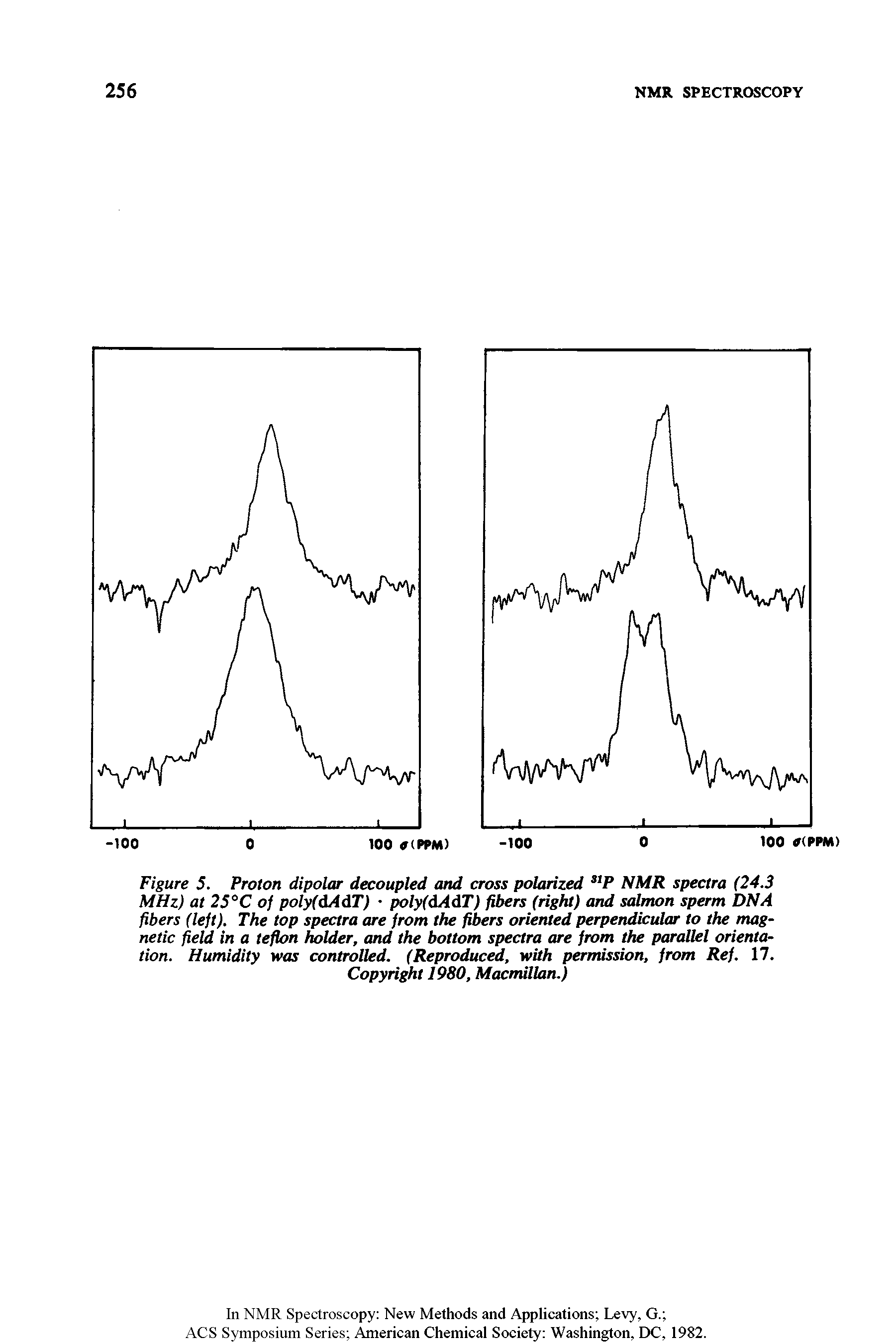 Figure 5. Proton dipolar decoupled and cross polarized NMR spectra (24.3 MHz) at 25°C of poly(dAdT) poly(dAdT) fibers (right) and sal n sperm DNA fibers (left). The top spectra are from the fibers oriented perpendicular to the magnetic field in a teflon holder, and the bottom spectra are from parallel orientation. Humidity was controlled. (Reproduce, with permission, from Ref. 17.