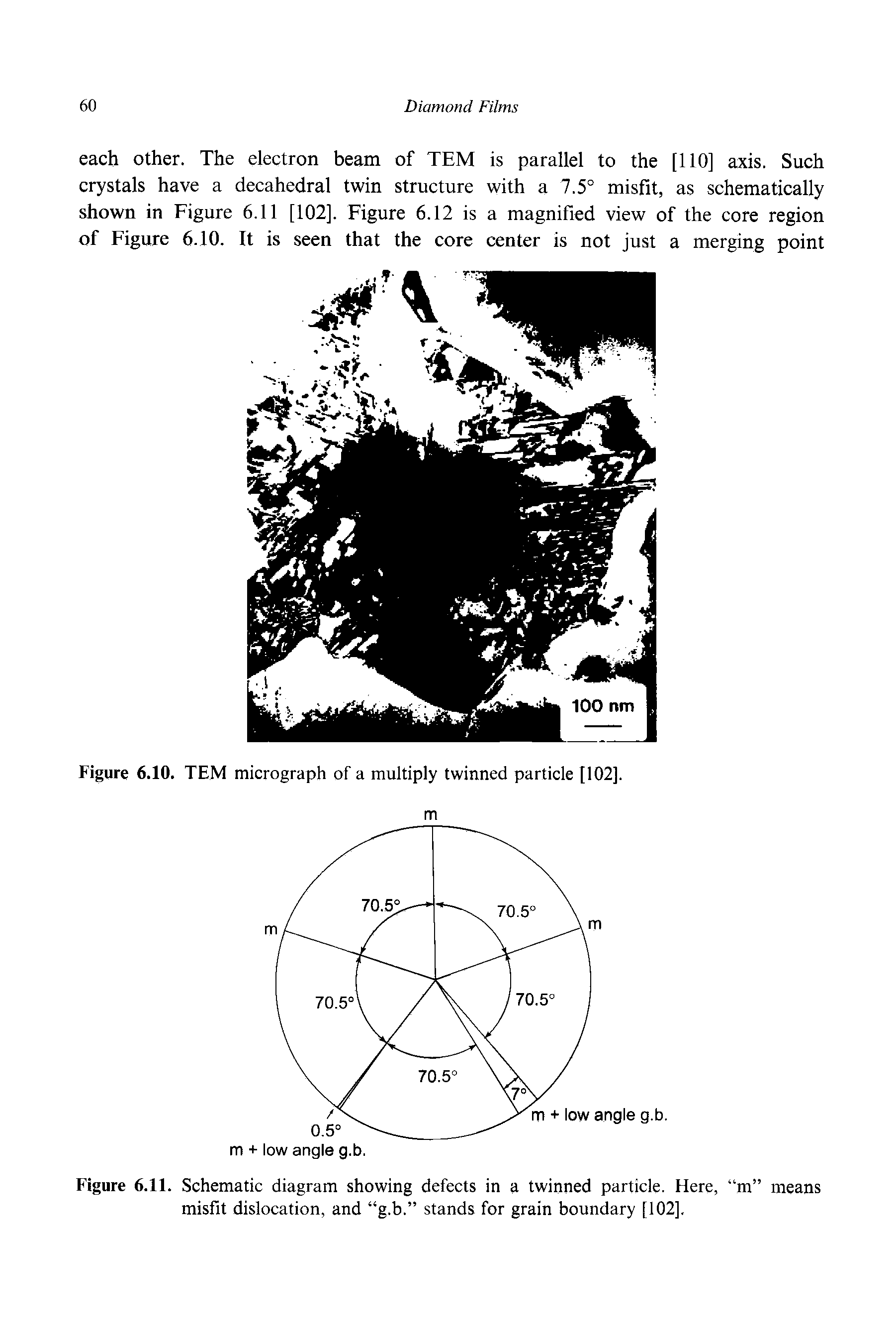 Figure 6.11. Schematic diagram showing defects in a twinned particle. Here, m means misfit dislocation, and g.b. stands for grain boundary [102].