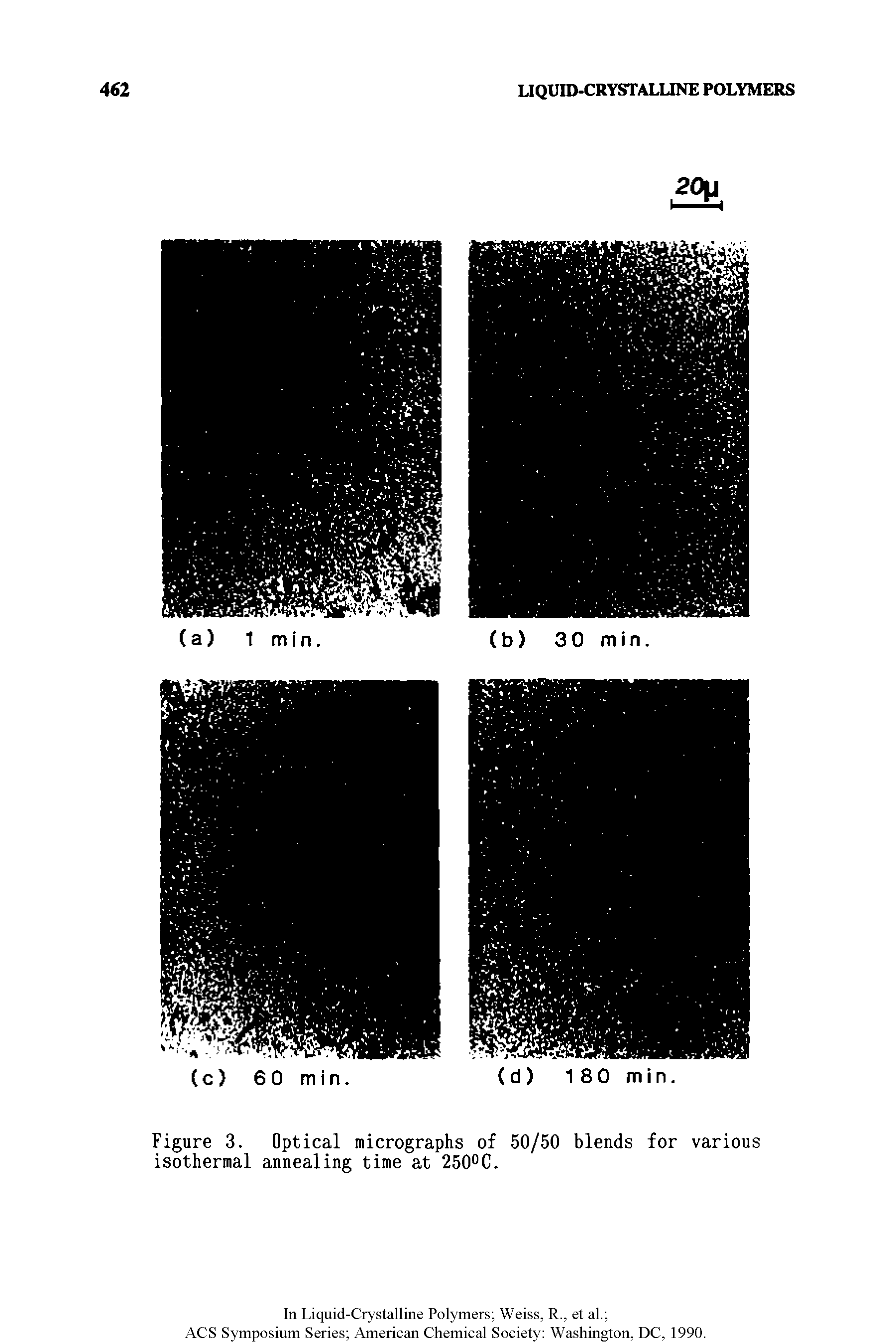 Figure 3. Optical micrographs of 50/50 blends for various isothermal annealing time at 250°C.