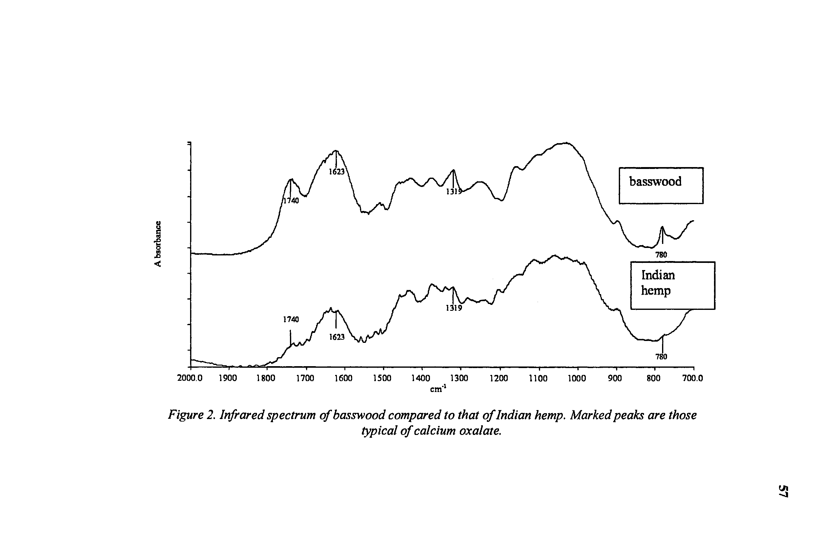 Figure 2. Infrared spectrum of basswood compared to that of Indian hemp. Marked peaks are those...
