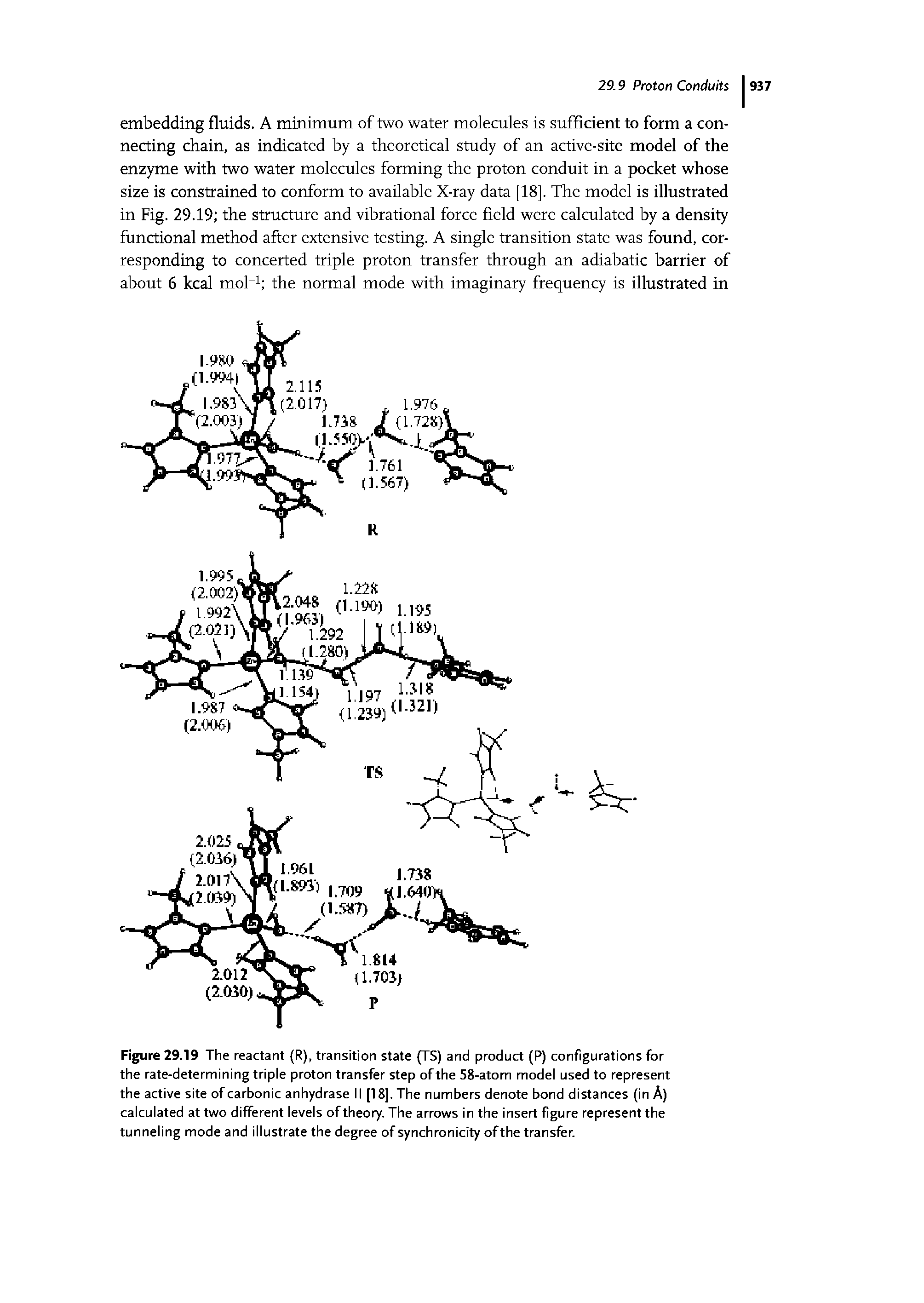 Figure 29.19 The reactant (R), transition state (TS) and product (P) configurations for the rate-determining triple proton transfer step of the 58-atom model used to represent the active site of carbonic anhydrase II [18]. The numbers denote bond distances (in A) calculated at two different levels of theory. The arrows in the insert figure represent the tunneling mode and illustrate the degree of synchronicity of the transfer.