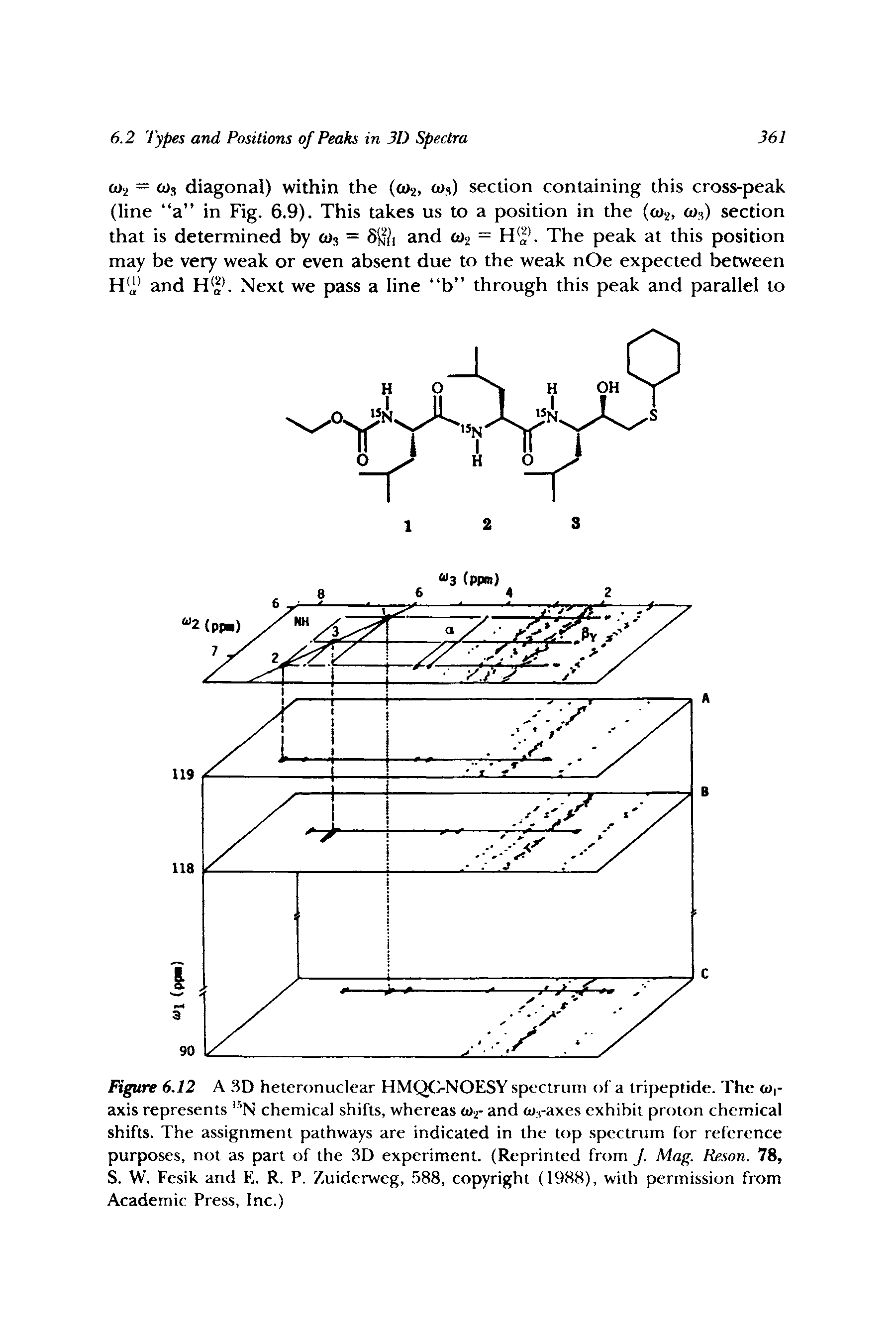 Figure 6.12 A 3D heteronuclear HMQC-NOESY spectrum of a tripeptide. The (o,-axis represents N chemical shifts, whereas <1)2- and (Uj-axes exhibit proton chemical shifts. The assignment pathways are indicated in the top spectrum for reference purposes, not as part of the 3D experiment. (Reprinted from J. Mag. Reson. 78, S. W. Fesik and E. R. P. Zuiderweg,. 588, copyright (1988), with permission from Academic Press, Inc.)...