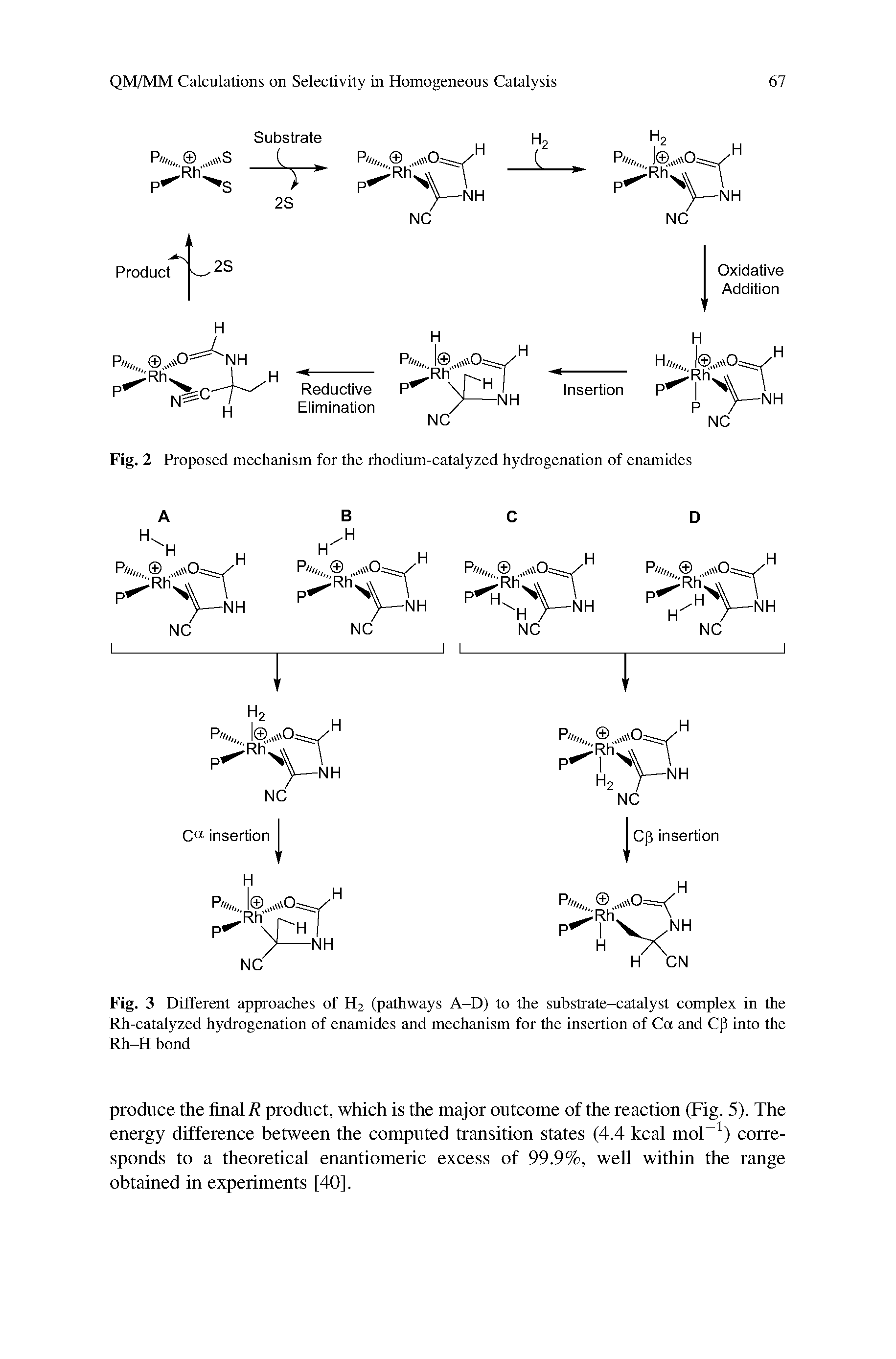 Fig. 3 Different approaches of H2 (pathways A-D) to the substrate-catalyst complex in the Rh-catalyzed hydrogenation of enamides and mechanism for the insertion of Ca and Cp into the Rh-H bond...