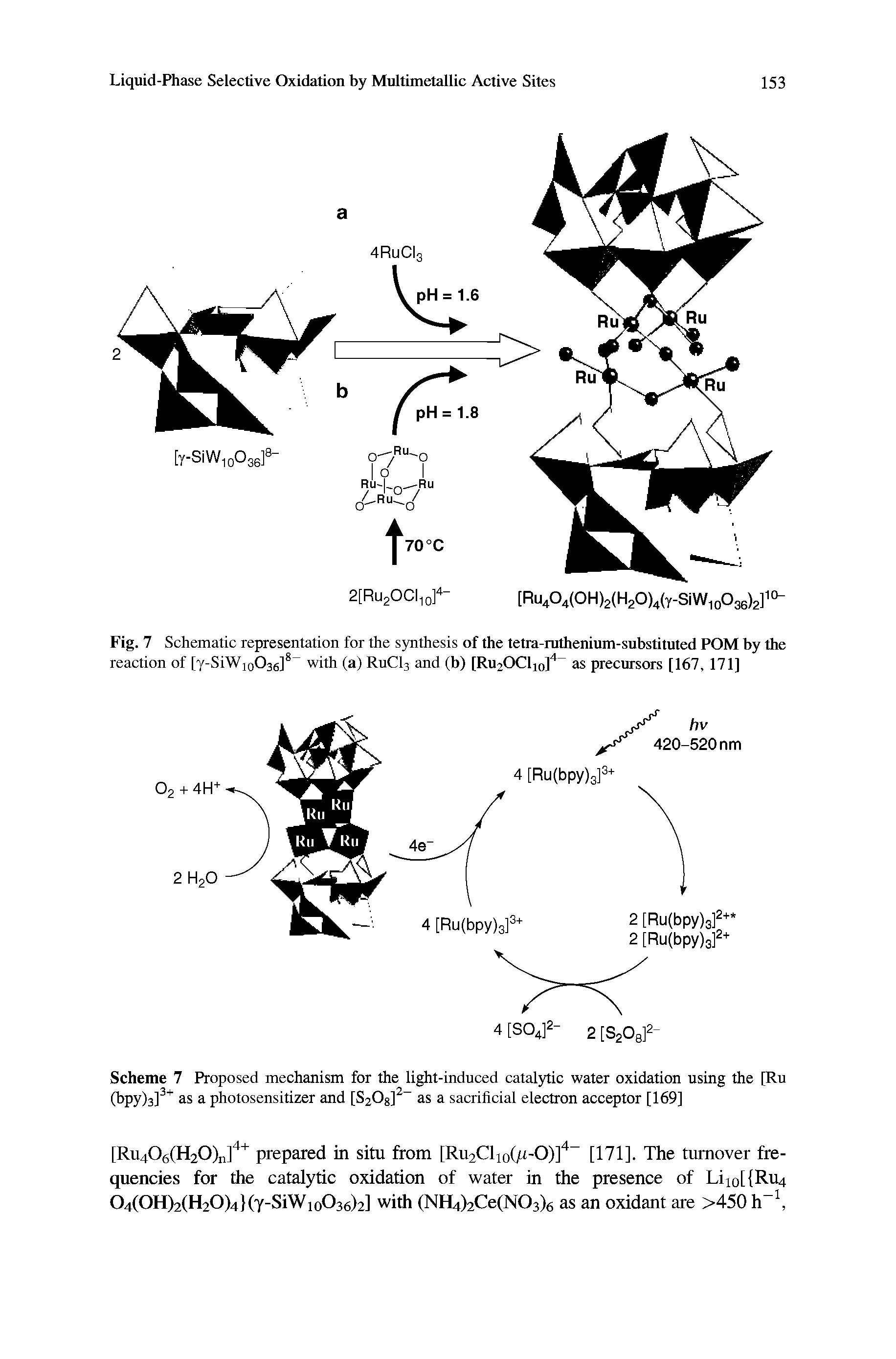 Scheme 7 Proposed mechanism for the light-induced catalytic water oxidation using the [Ru (bpylsl as a photosensitizer and [S208] as a sacrificial electron acceptor [169]...