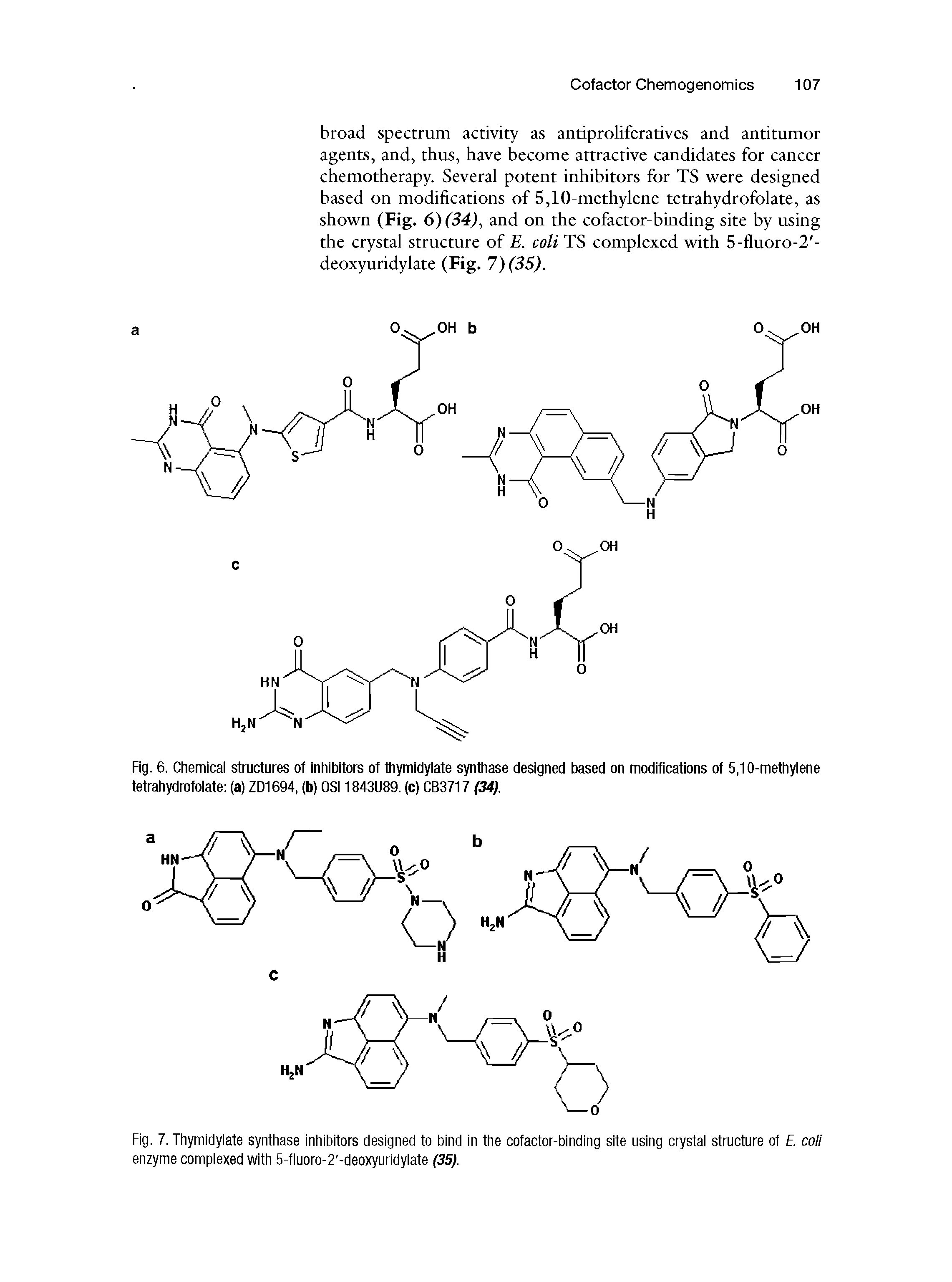 Fig. 6. Chemical structures of inhibitors of thymidylate synthase designed based on modifications of 5,10-methylene tetrahydrofolate (a) ZD1694, (b) OSI1843U89. (c) CB3717 (34).