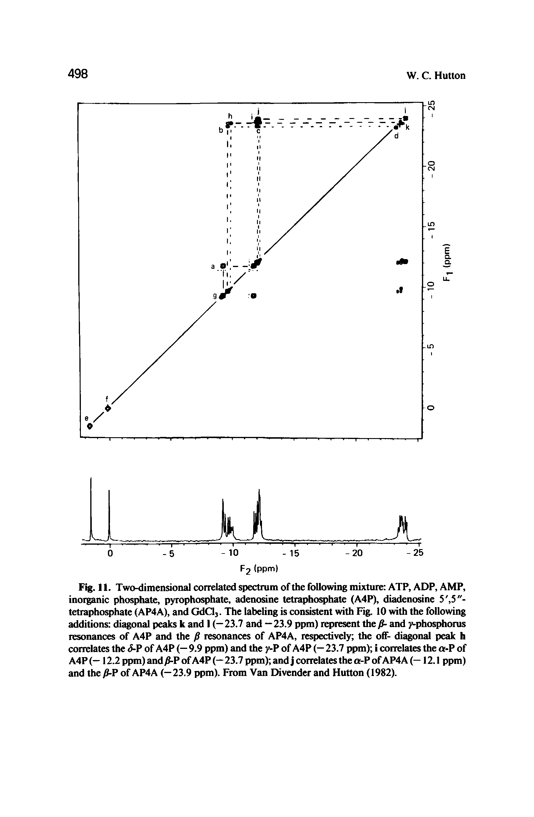 Fig. 11. Two-dimensional correlated spectrum of the following mixture ATP, ADP, AMP, inorganic phosphate, pyrophosphate, adenosine tetraphosphate (A4P), diadenosine 5, S"-tetraphosphate (AP4A), and GdCl,. The labeling is consistent with Fig. 10 with the following additions diagonal peaks k and 1 (—23.7 and —23.9 ppm) represent the P- and y-phosphorus resonances of A4P and the p resonances of AP4A, respectively the off- diagonal peak h correlates the <J-P of A4P (— 9.9 ppm) and the y-P of A4P (— 23.7 ppm) i correlates the a-P of A4P (— 12.2 ppm) and P of A4P (—23.7 ppm) and j correlates the a-P of AP4A (—12.1 ppm) and the P-V of AP4A (—23.9 ppm). From Van Divender and Hutton (1982).