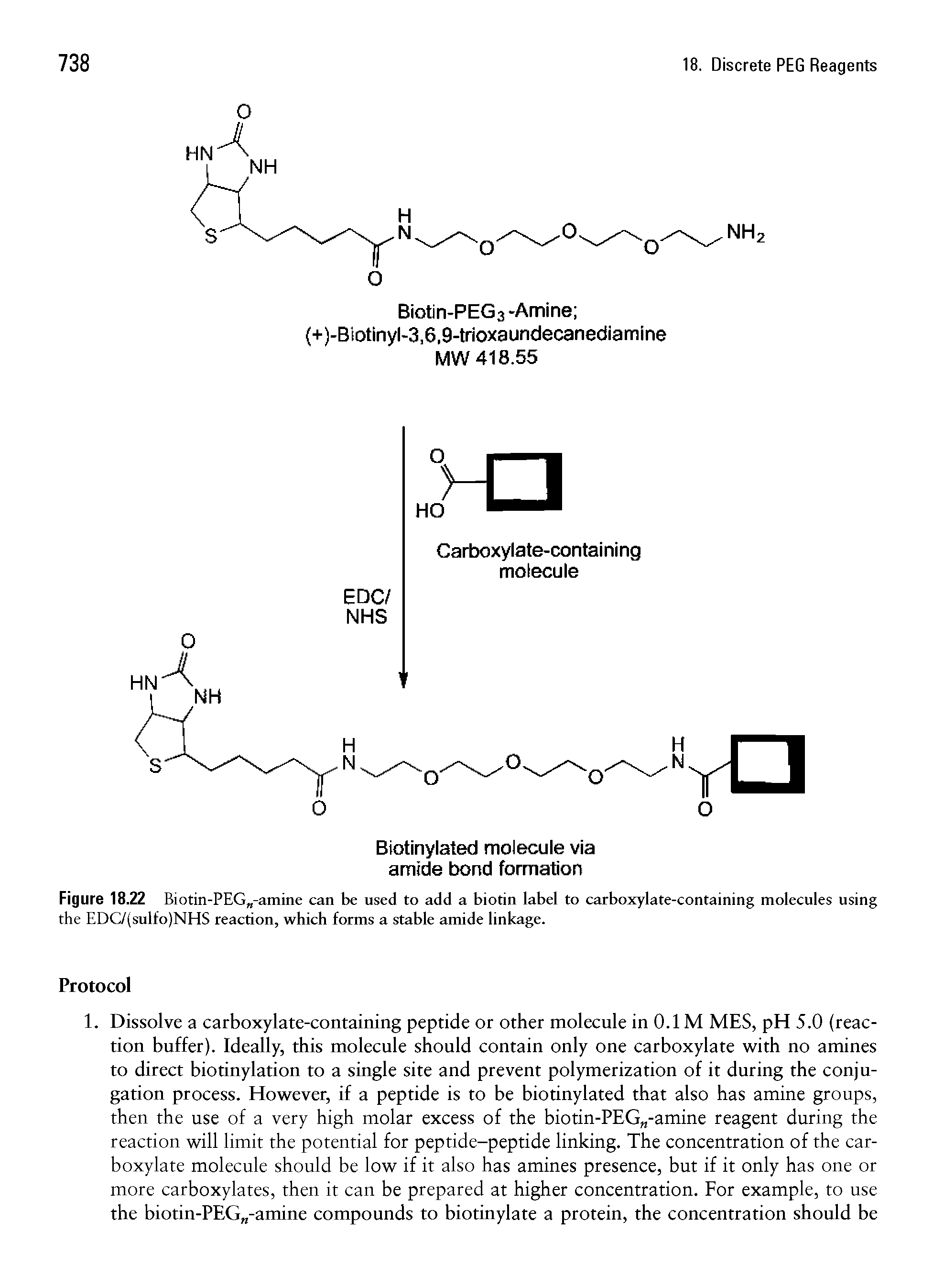 Figure 18.22 Biotin-PEG -amine can be used to add a biotin label to carboxylate-containing molecules using the EDC/(sulfo)NHS reaction, which forms a stable amide linkage.
