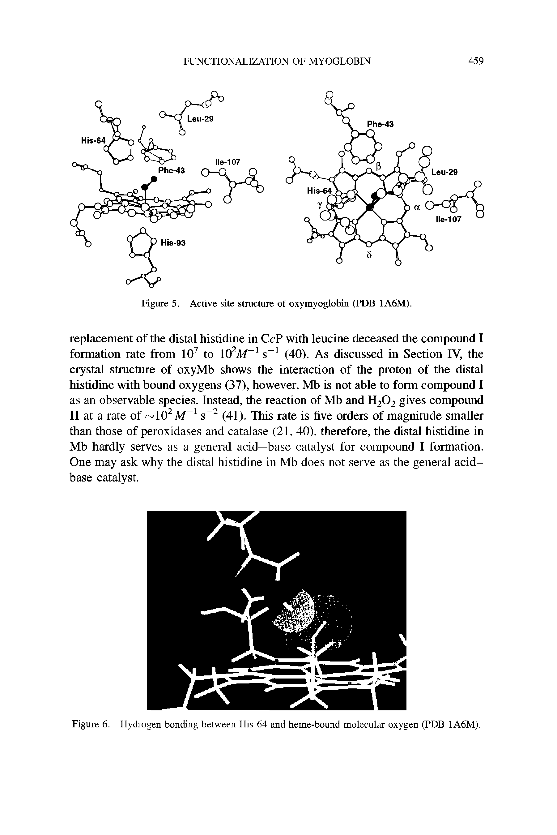 Figure 6. Hydrogen bonding between His 64 and heme-bound molecular oxygen (PDB 1A6M).