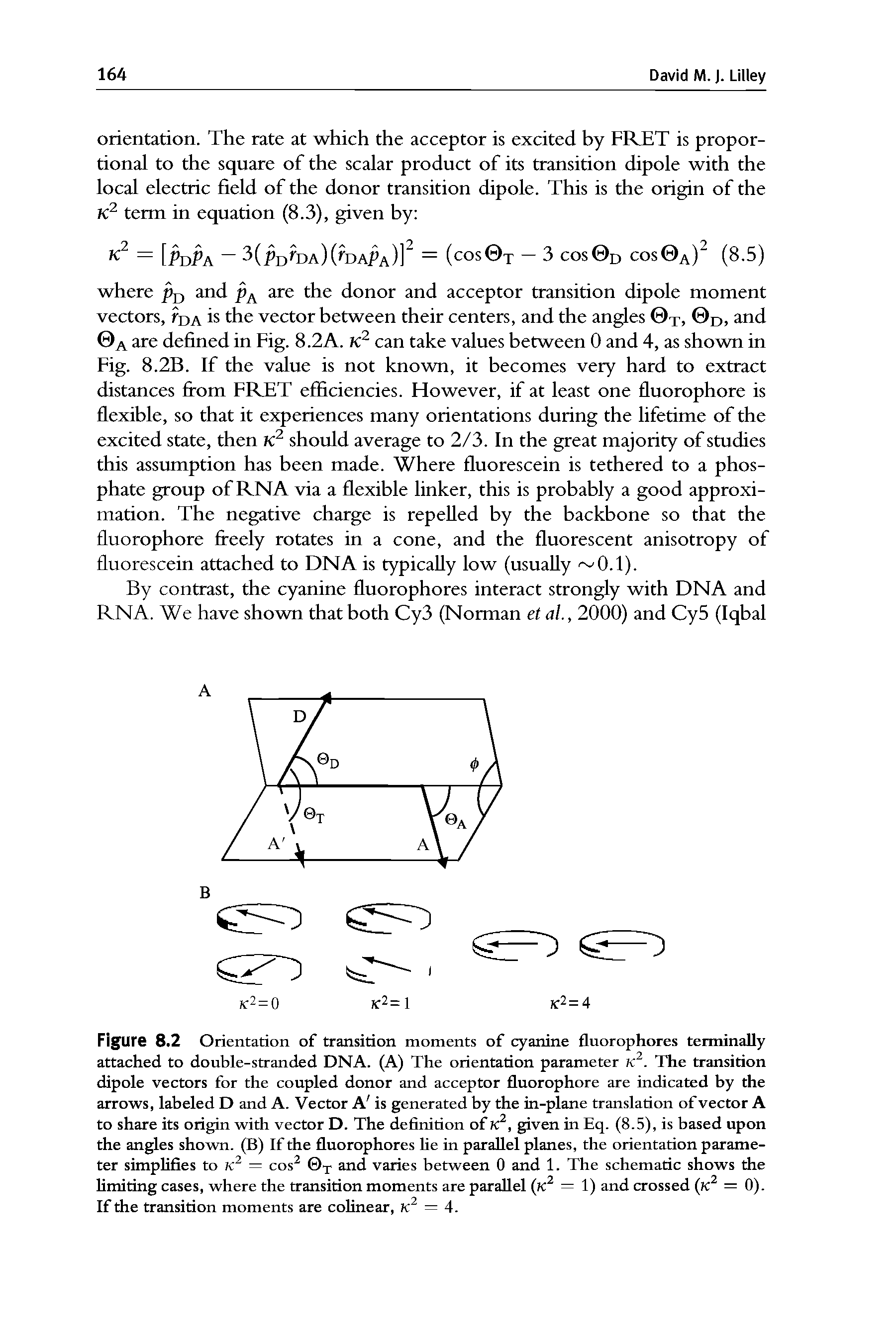 Figure 8.2 Orientation of transition moments of cyanine fluorophores terminally attached to double-stranded DNA. (A) The orientation parameter K2. The transition dipole vectors for the coupled donor and acceptor fluorophore are indicated by the arrows, labeled D and A. Vector A is generated by the in-plane translation of vector A to share its origin with vector D. The definition of K2, given in Eq. (8.5), is based upon the angles shown. (B) If the fluorophores he in parallel planes, the orientation parameter simplifies to K2 — cos2 T and varies between 0 and 1. The schematic shows the limiting cases, where the transition moments are parallel (k2 = 1) and crossed (K2 — 0). If the transition moments are colinear, K2 = 4.