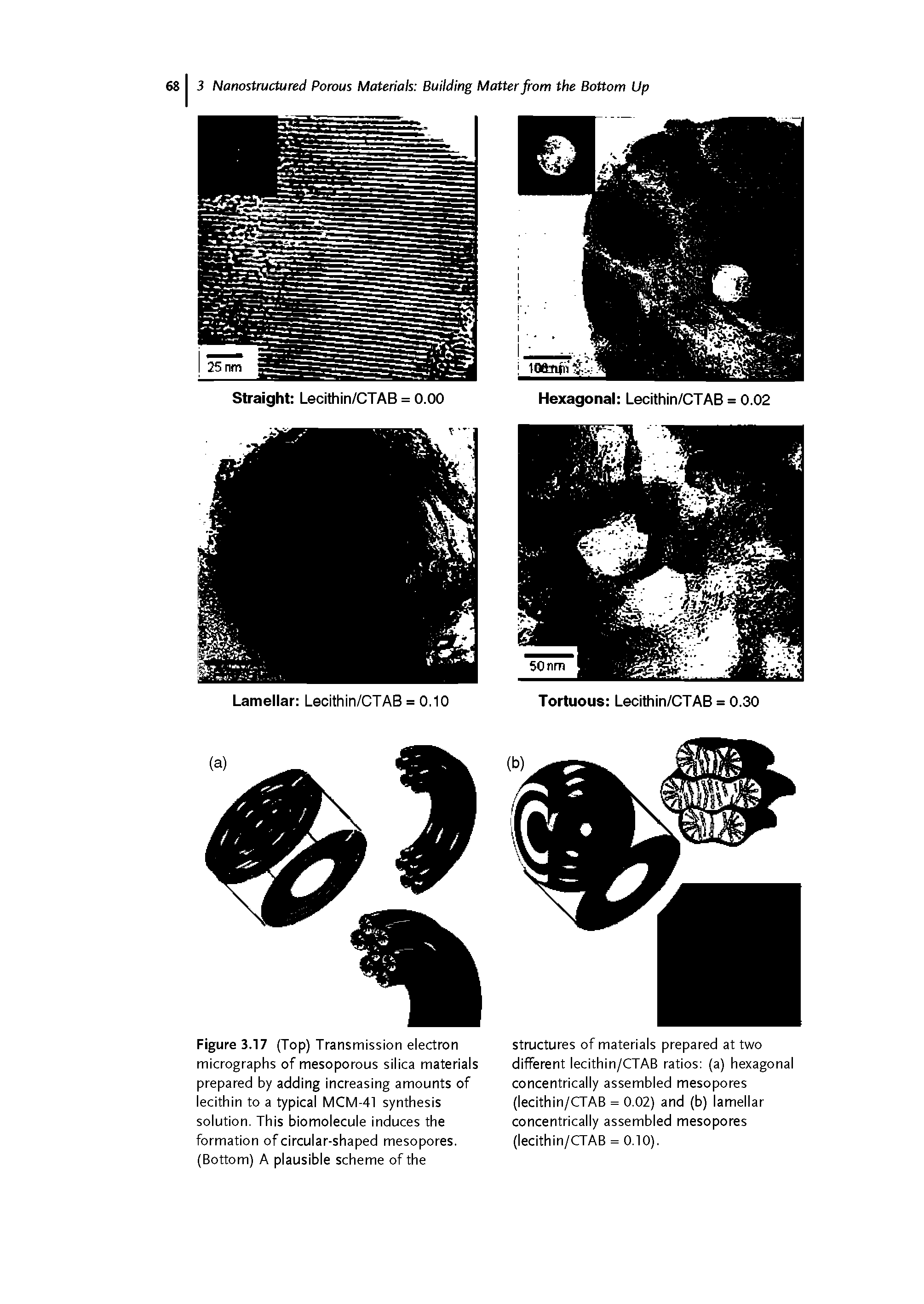 Figure 3.17 (Top) Transmission electron micrographs of mesoporous silica materials prepared by adding increasing amounts of lecithin to a typical MCM-41 synthesis solution. This biomolecule induces the formation of circular-shaped mesopores. (Bottom) A plausible scheme of the...