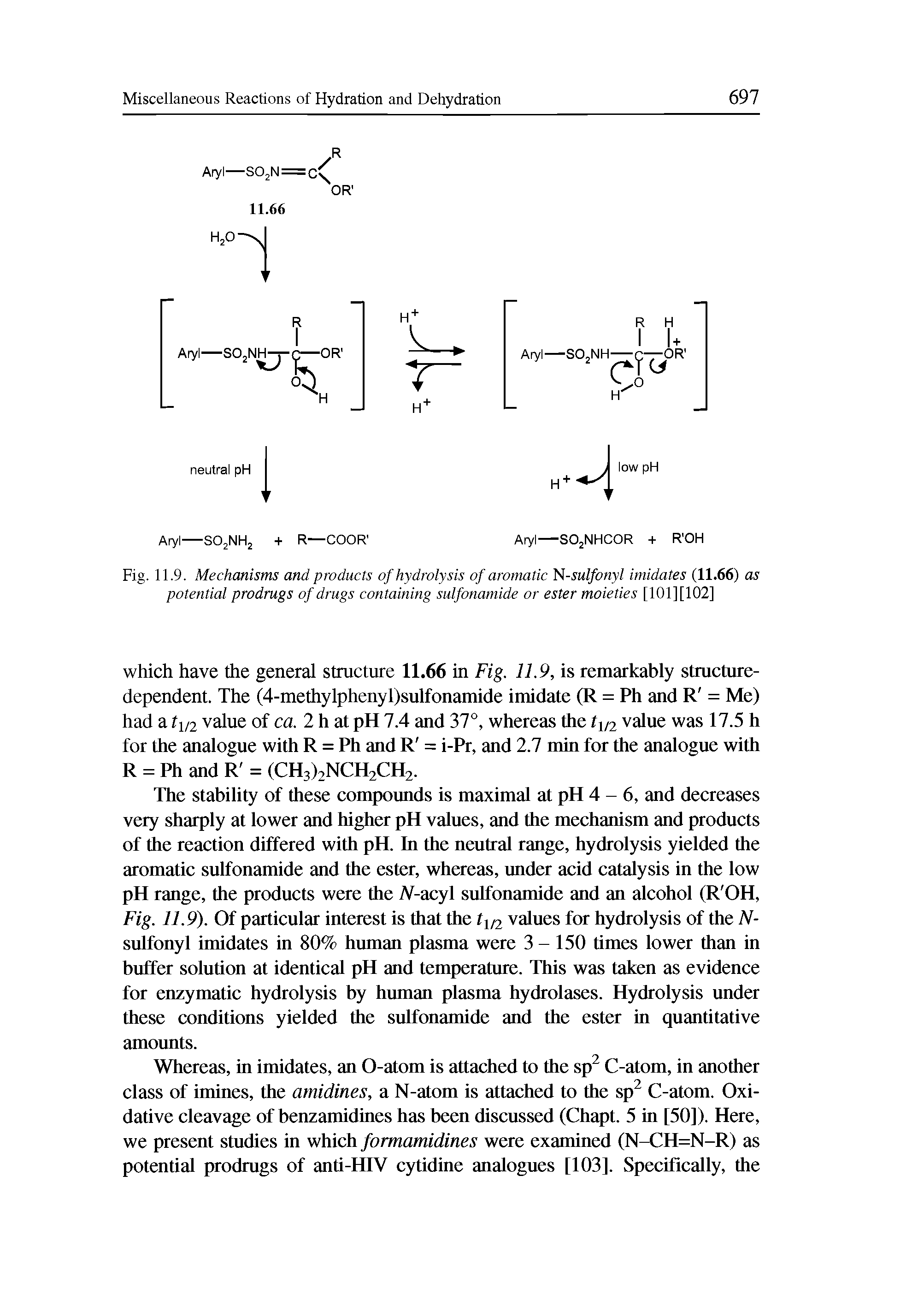 Fig. 11.9. Mechanisms and products of hydrolysis of aromatic N-sulfonyl imidates (11.66) as potential prodrugs of drugs containing sulfonamide or ester moieties [101] [102]...