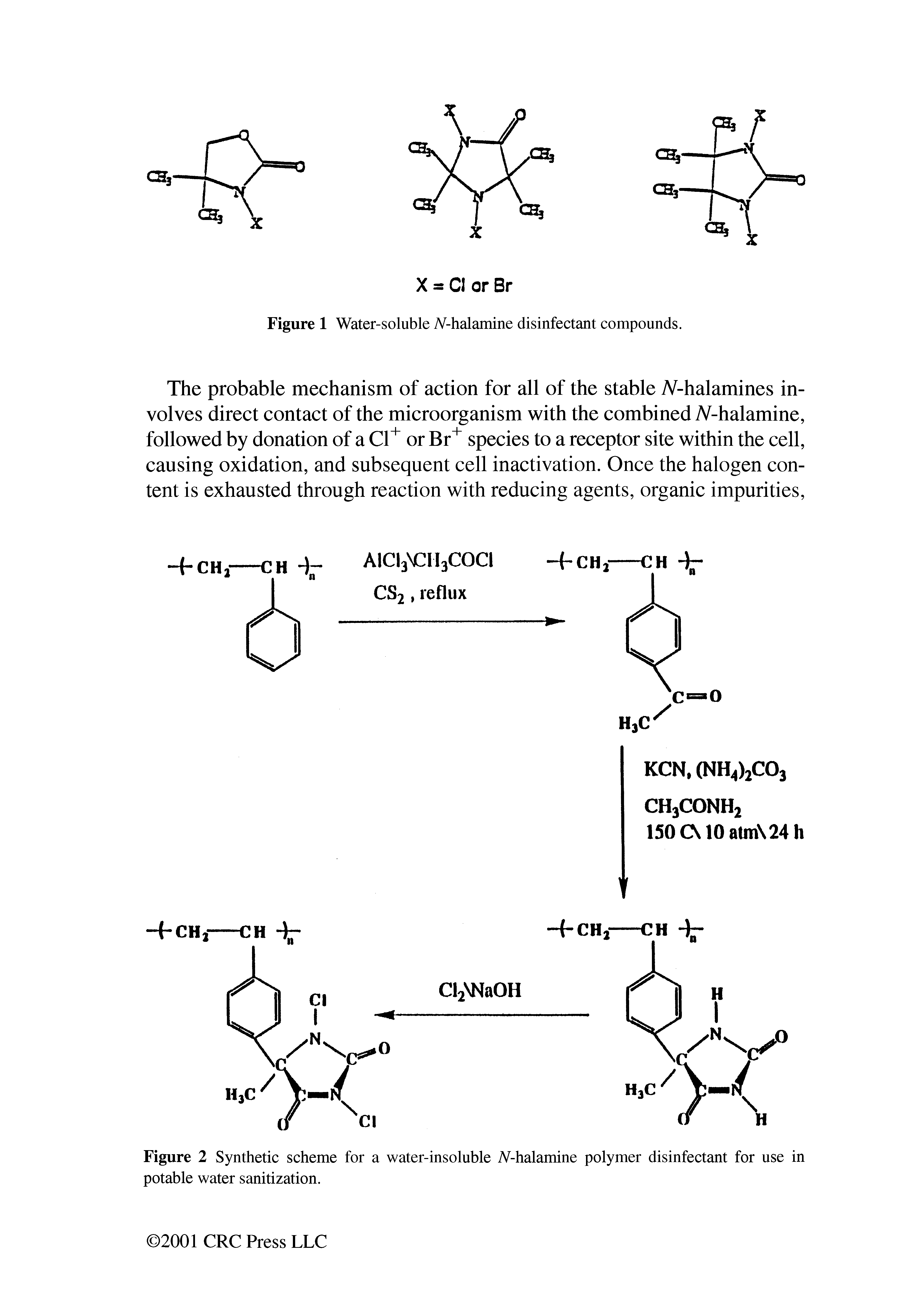 Figure 2 Synthetic scheme for a water-insoluble Whalamine polymer disinfectant for use in potable water sanitization.