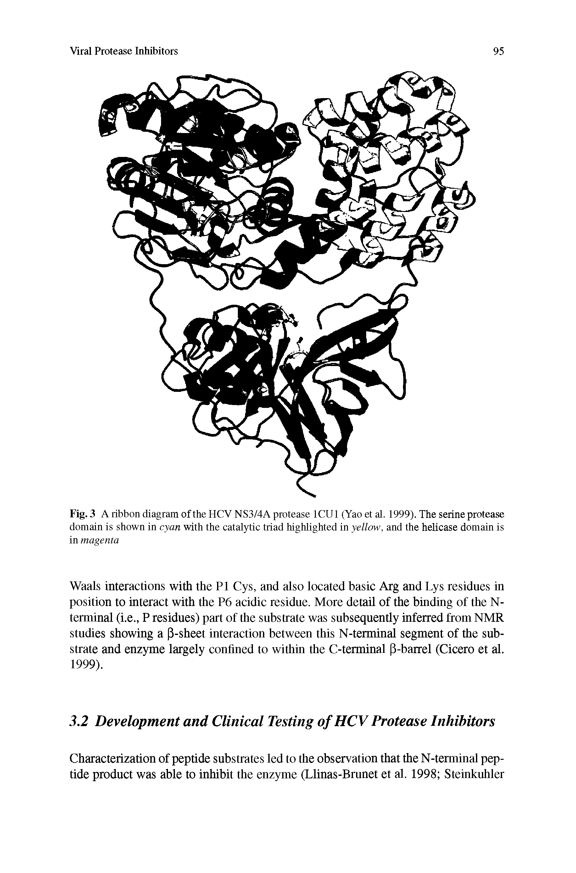 Fig. 3 A ribbon diagram of the HCV NS3/4A protease ICU1 (Yao et al, 1999). The serine protease domain is shown in cyan with the catalytic triad highlighted in yellow, and the helicase domain is...