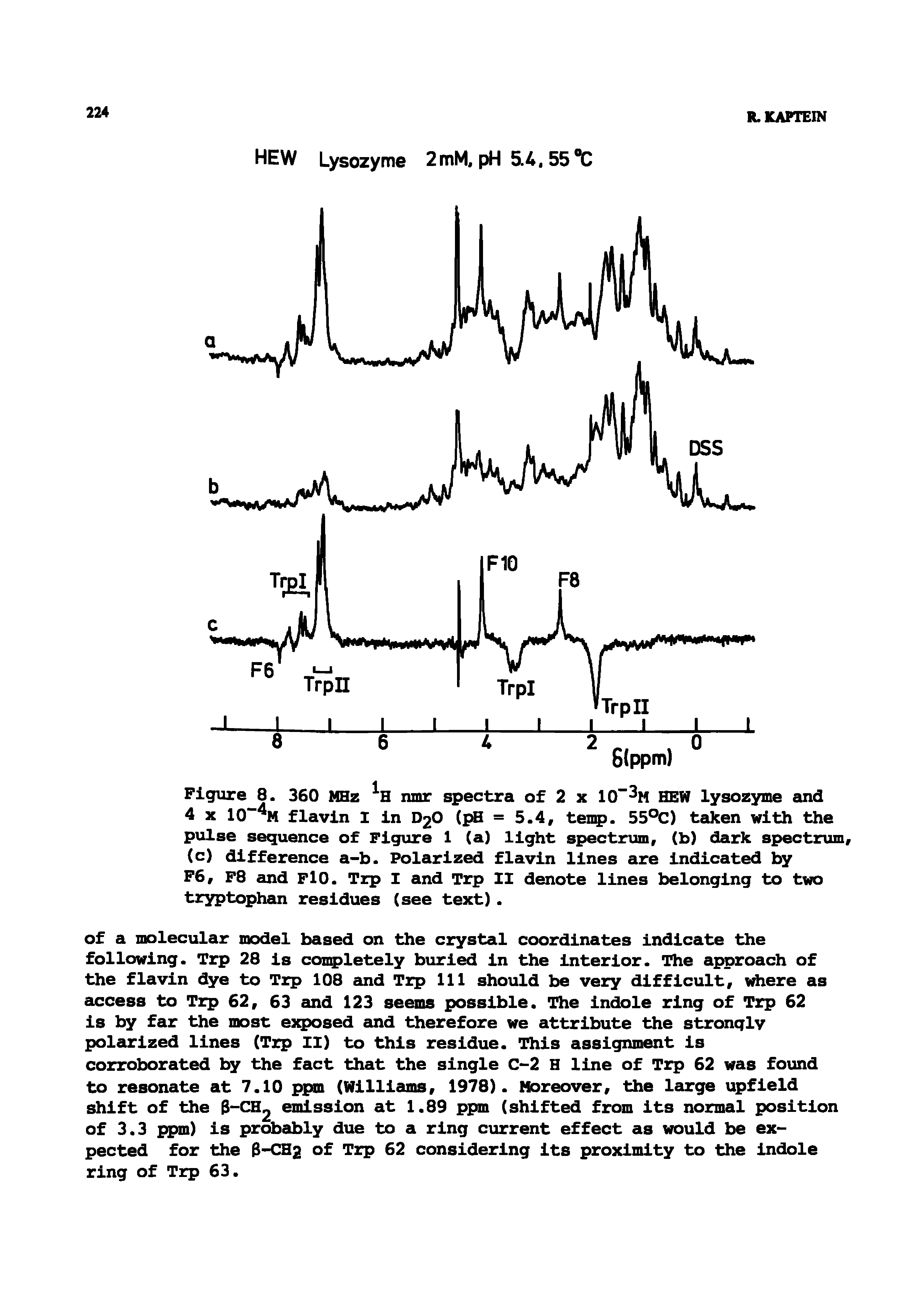 Figure 8. 360 MHz nmr spectra of 2 x 10 M HEW lysozyme and 4 X 10 M flavin I in D2O (pH = 5.4, temp. 55°C) taken with the pulse sequence of Figure 1 (a) light spectrum, (b) dark spectrum, (c) difference a-b. Polarized flavin lines are indicated by F6, F8 and FlO. Trp I and Trp II denote lines belonging to two tsryptophan residues (see text) ...
