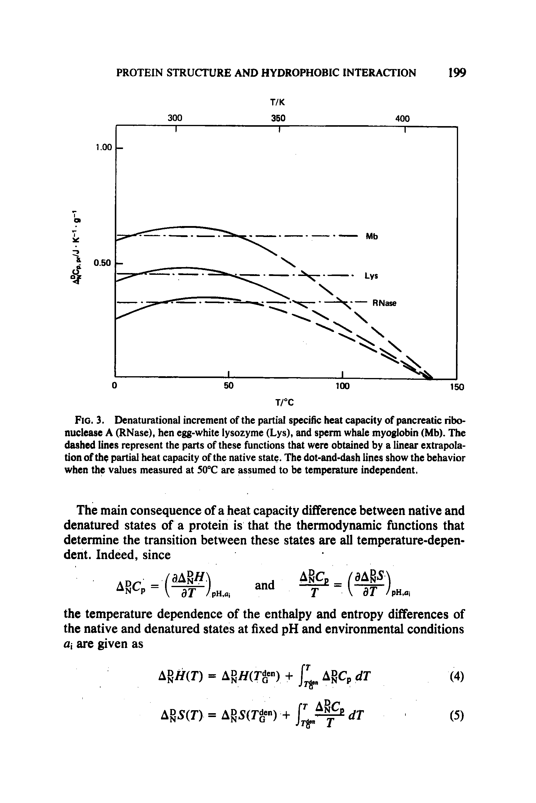 Fig. 3. Denaturational increment of the partial specific heat capacity of pancreatic ribo-nuclease A (RNase), hen egg-white lysozyme (Lys), and sperm whale myoglobin (Mb). The dashed lines represent the parts of these functions that were obtained by a linear extrapolation of th partial heat capacity of the native state. The dot-and-dash lines show the behavior when the values measured at 50°C are assumed to be temperature independent.