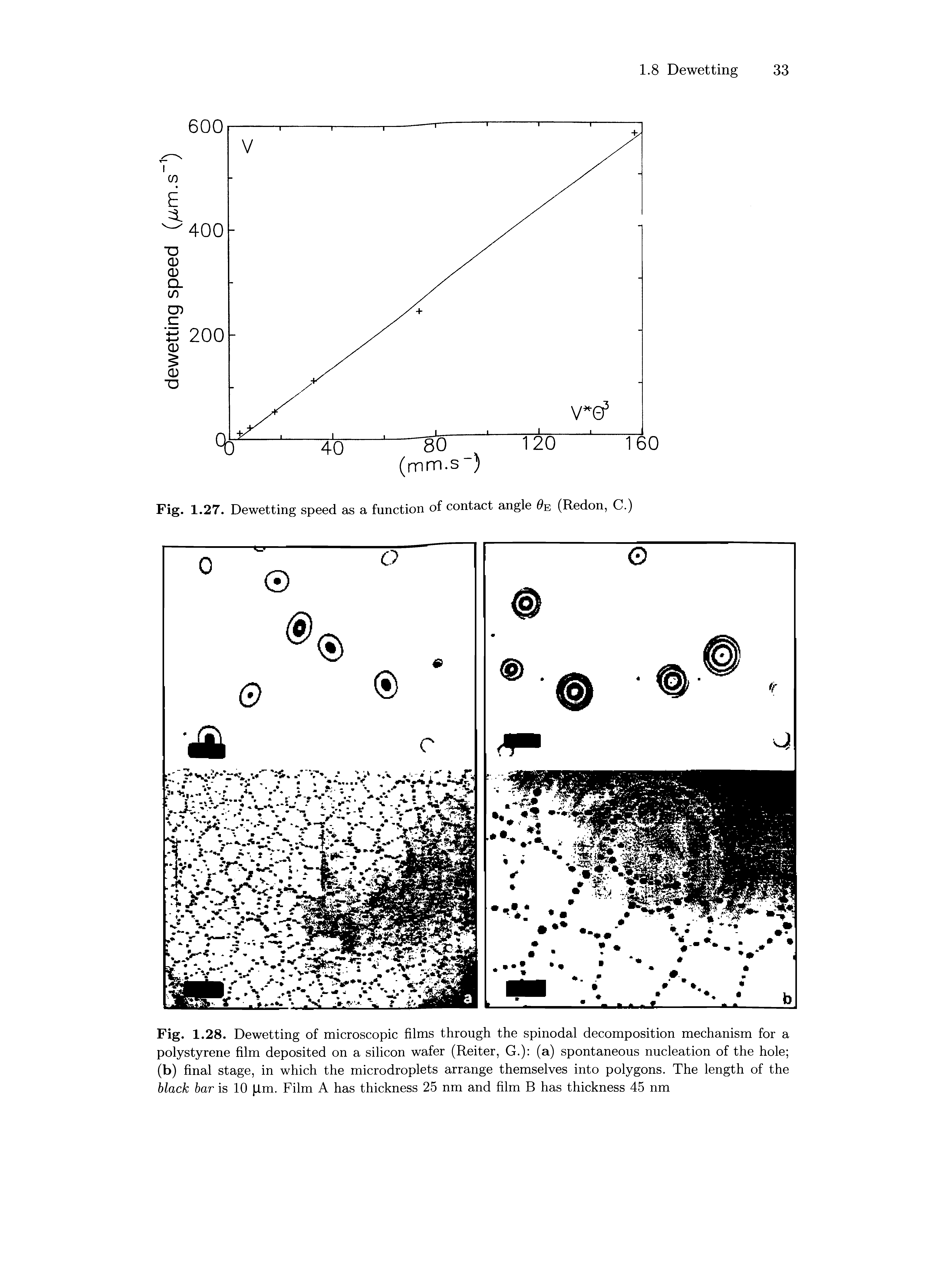 Fig. 1.28. Dewetting of microscopic films through the spinodal decomposition mechanism for a polystyrene film deposited on a silicon wafer (Reiter, G.) (a) spontaneous nucleation of the hole (b) final stage, in which the microdroplets arrange themselves into polygons. The length of the black bar is 10 lm. Film A has thickness 25 nm and film B has thickness 45 nm...