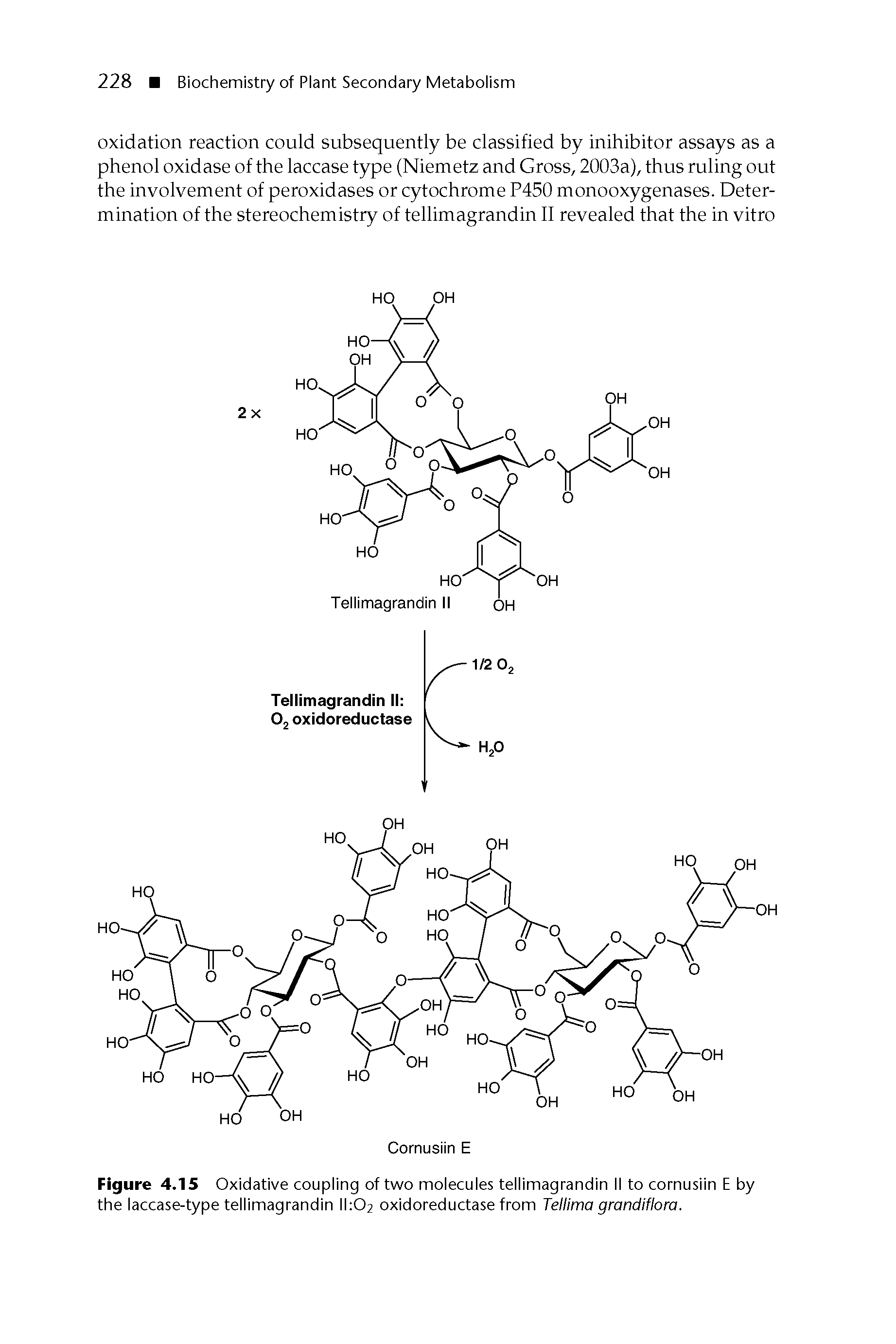 Figure 4.15 Oxidative coupling of two molecules tellimagrandin II to cornusiin E by the laccase-type tellimagrandin 11 02 oxidoreductase from Tellima grandiflora.