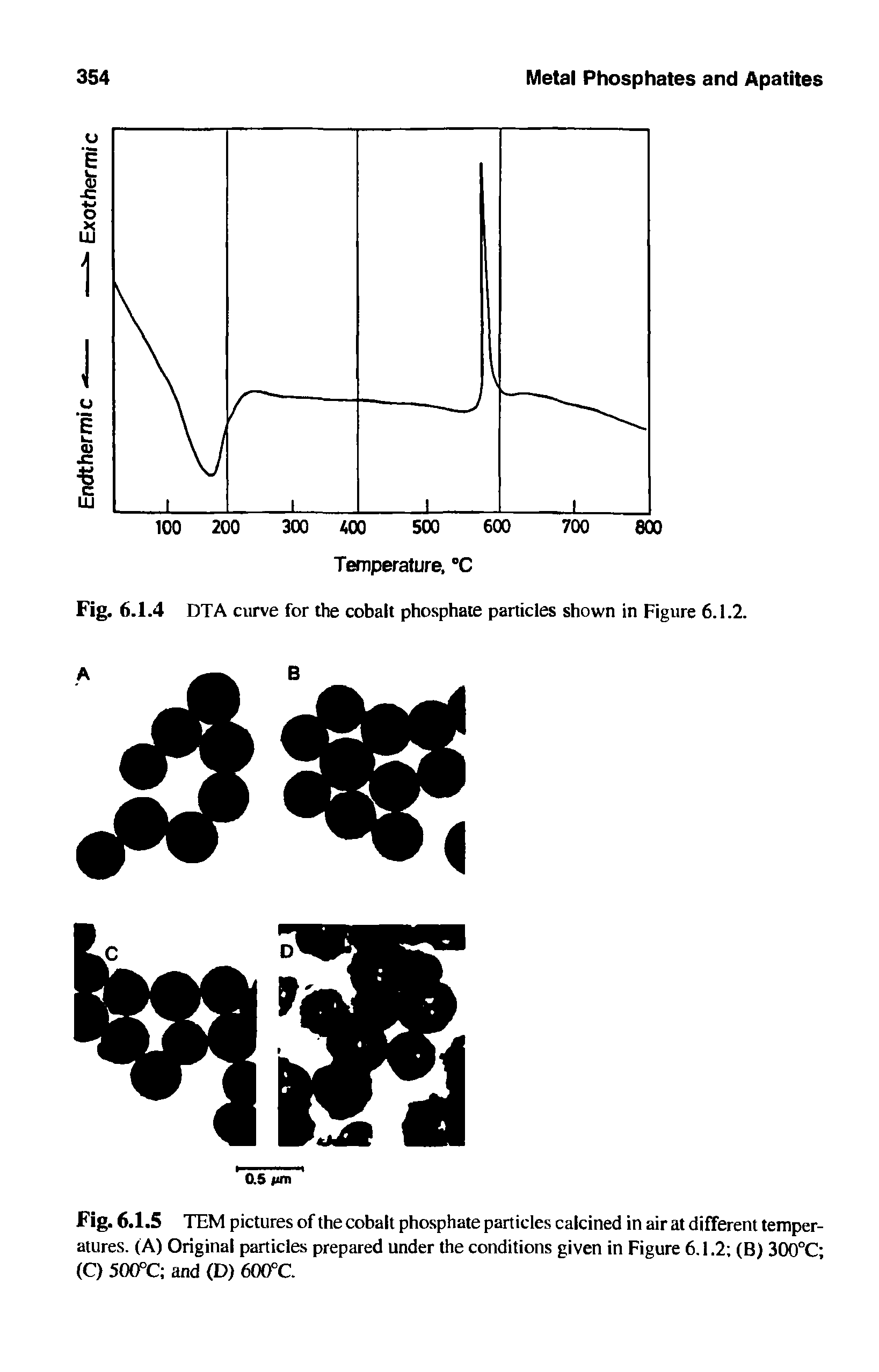 Fig. 6.1.5 TEM pictures of the cobalt phosphate particles calcined in air at different temperatures. (A) Original particles prepared under the conditions given in Figure 6.1.2 (B) 300°C (C) 500°C and (D) 600°C.