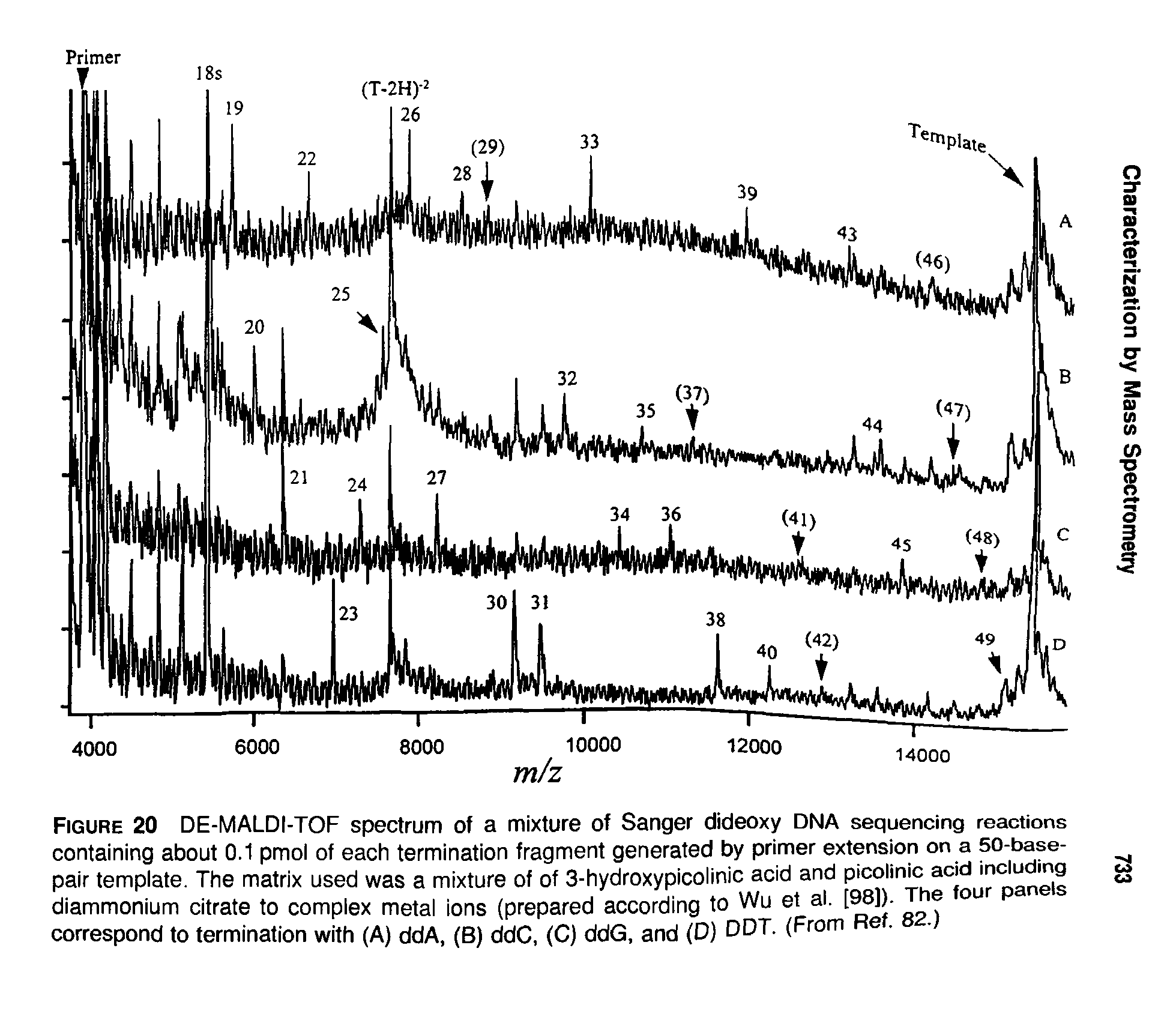 Figure 20 DE-MALDI-TOF spectrum of a mixture of Sanger dideoxy DNA sequencing reactions containing about 0.1 pmol of each termination fragment generated by primer extension on a 50-base-pair template. The matrix used was a mixture of of 3-hydroxypicolinic acid and picolinic acid including diammonium citrate to complex metal ions (prepared according to Wu et al. [98]). The four panels correspond to termination with (A) ddA. (B) ddC, (C) ddG, and (D) DDT. (From Ref. 82.)...