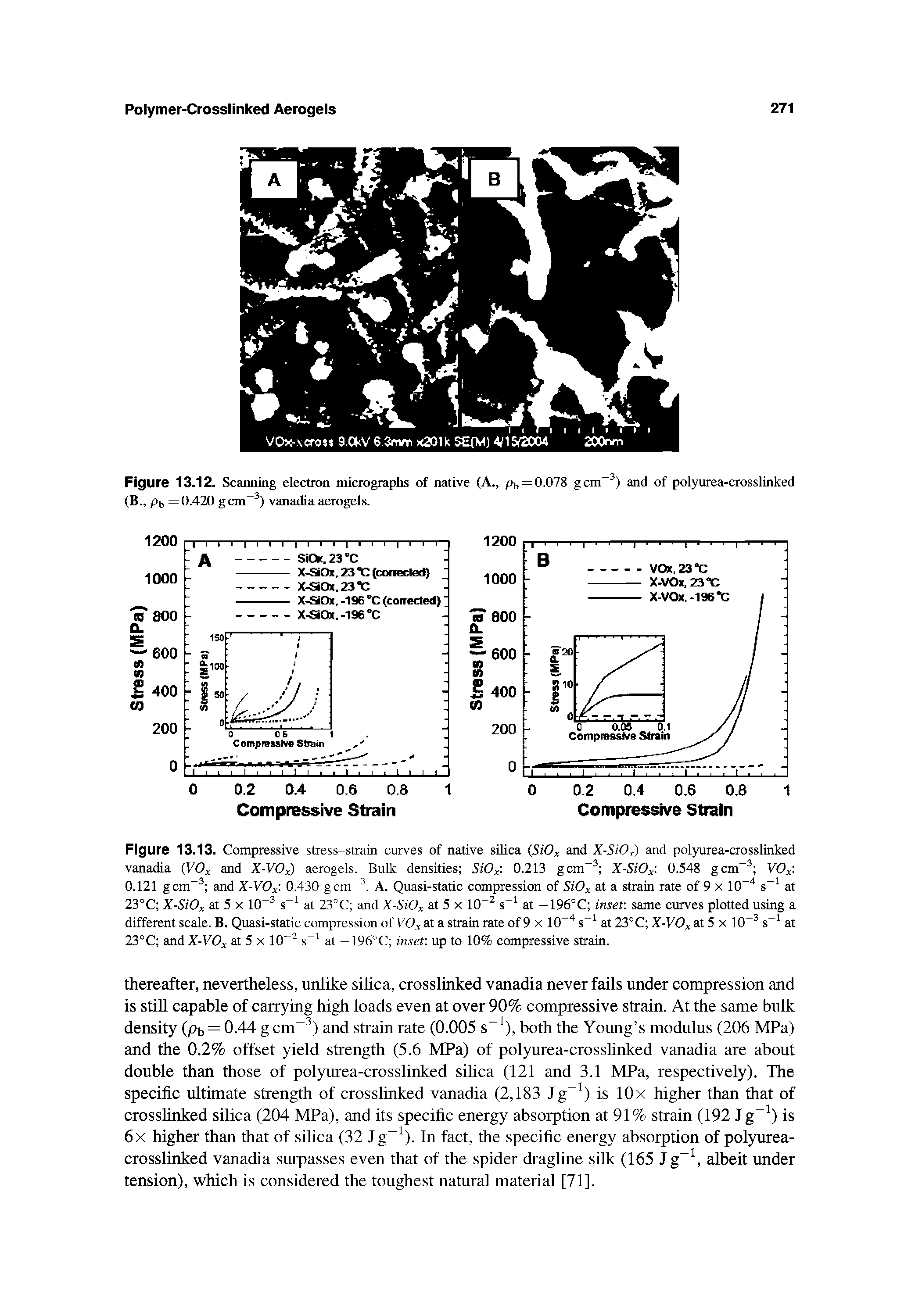 Figure 13.12. Scanning electron micrographs of native (A., (B., Pb = 0.420 g cm ) vanadia aerogels.