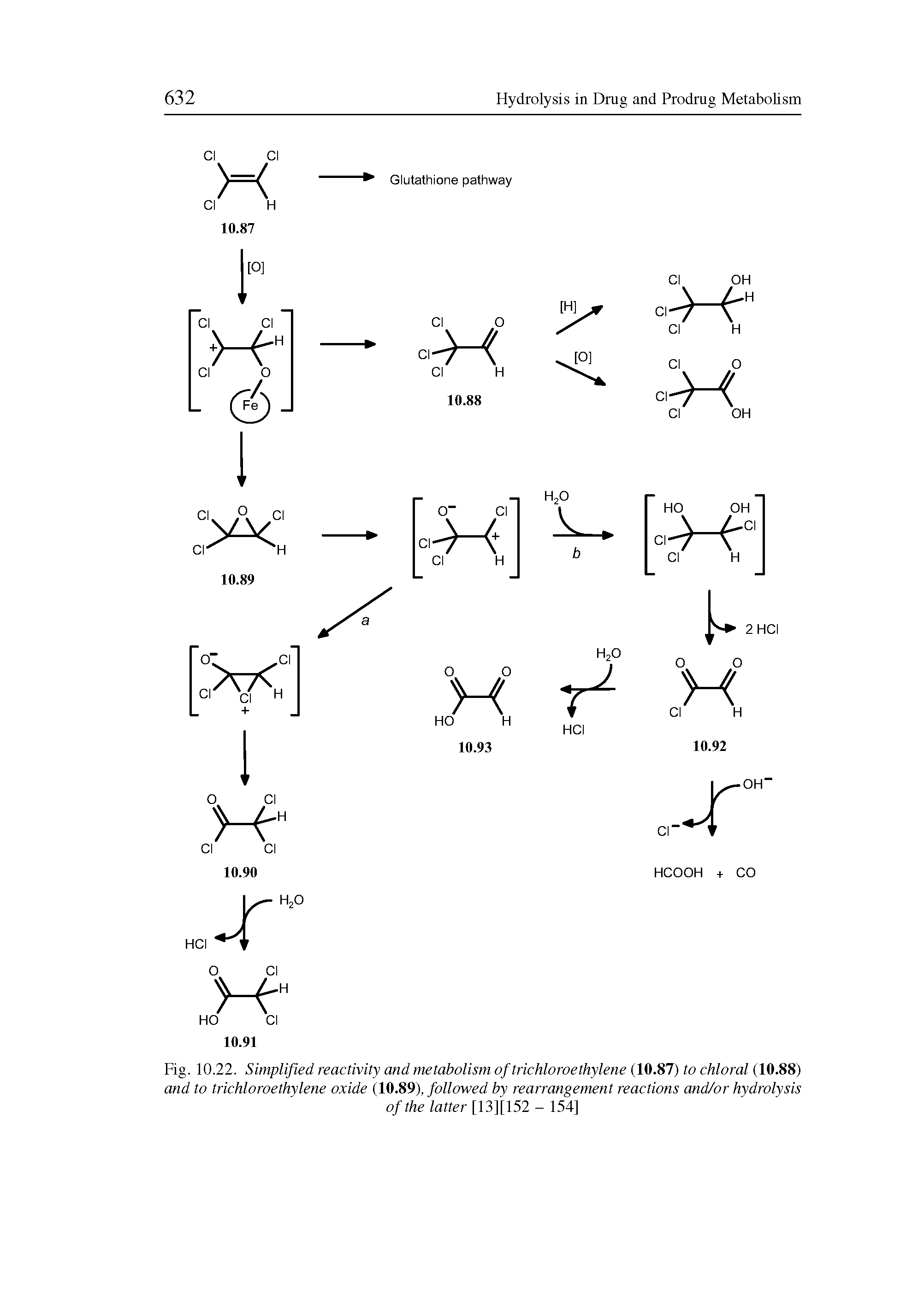 Fig. 10.22. Simplified reactivity and metabolism of trichloroethylene (10.87) to chloral (10.88) and to trichloroethylene oxide (10.89), followed by rearrangement reactions and/or hydrolysis...