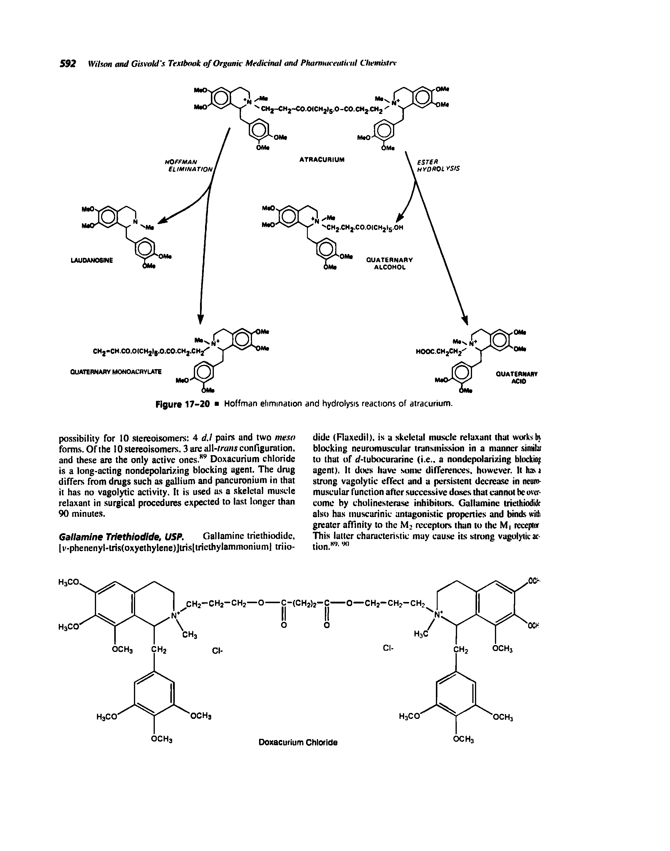 Figure 17-20 Hoffman elimination and hydrolysis reactions of atracurium.