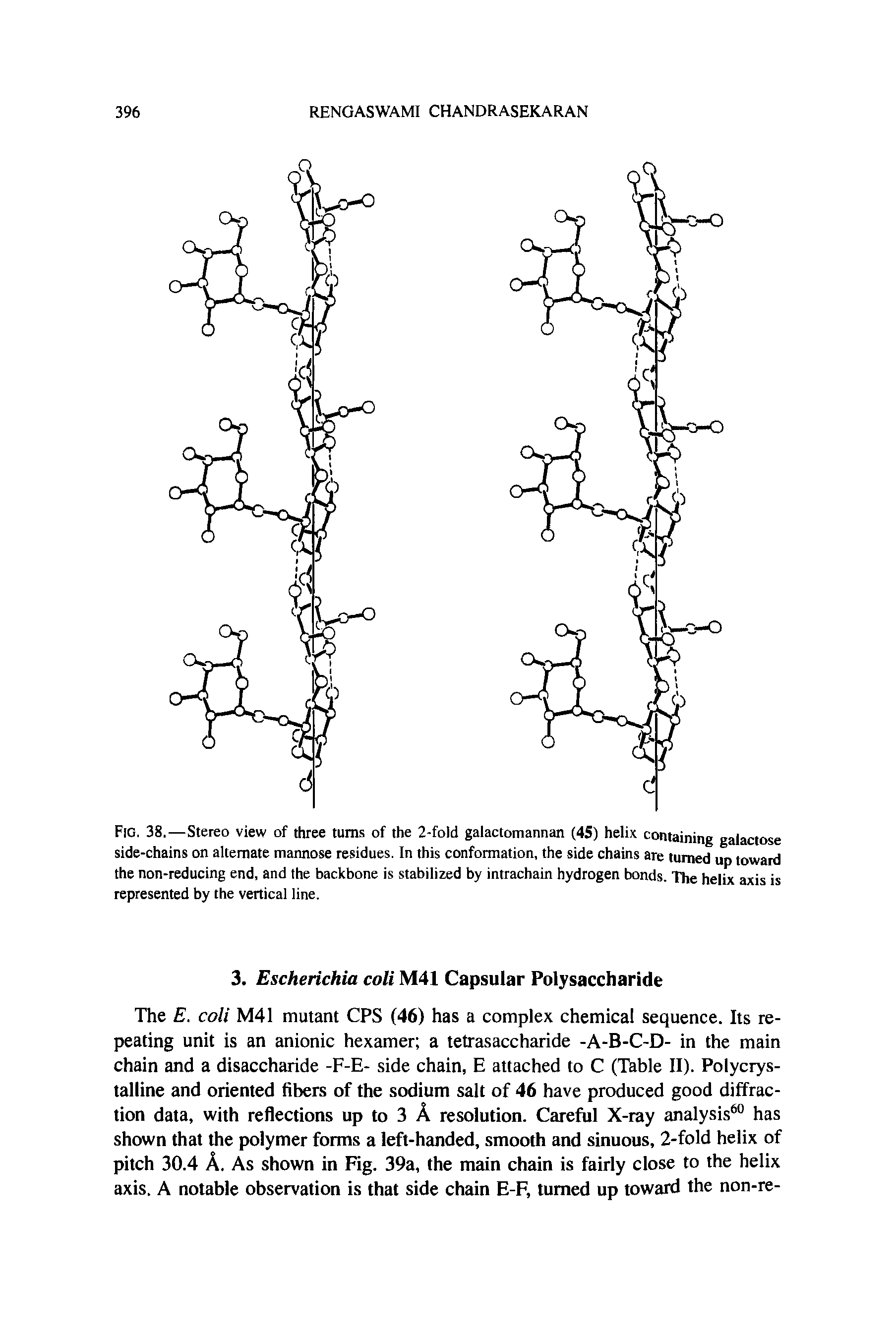 Fig. 38.—Stereo view of three turns of the 2-fold galactomannan (45) helix containing galactose side-chains on alternate mannose residues. In this conformation, the side chains are turned up toward the non-reducing end, and the backbone is stabilized by intrachain hydrogen bonds. The helix axis is represented by the vertical line.