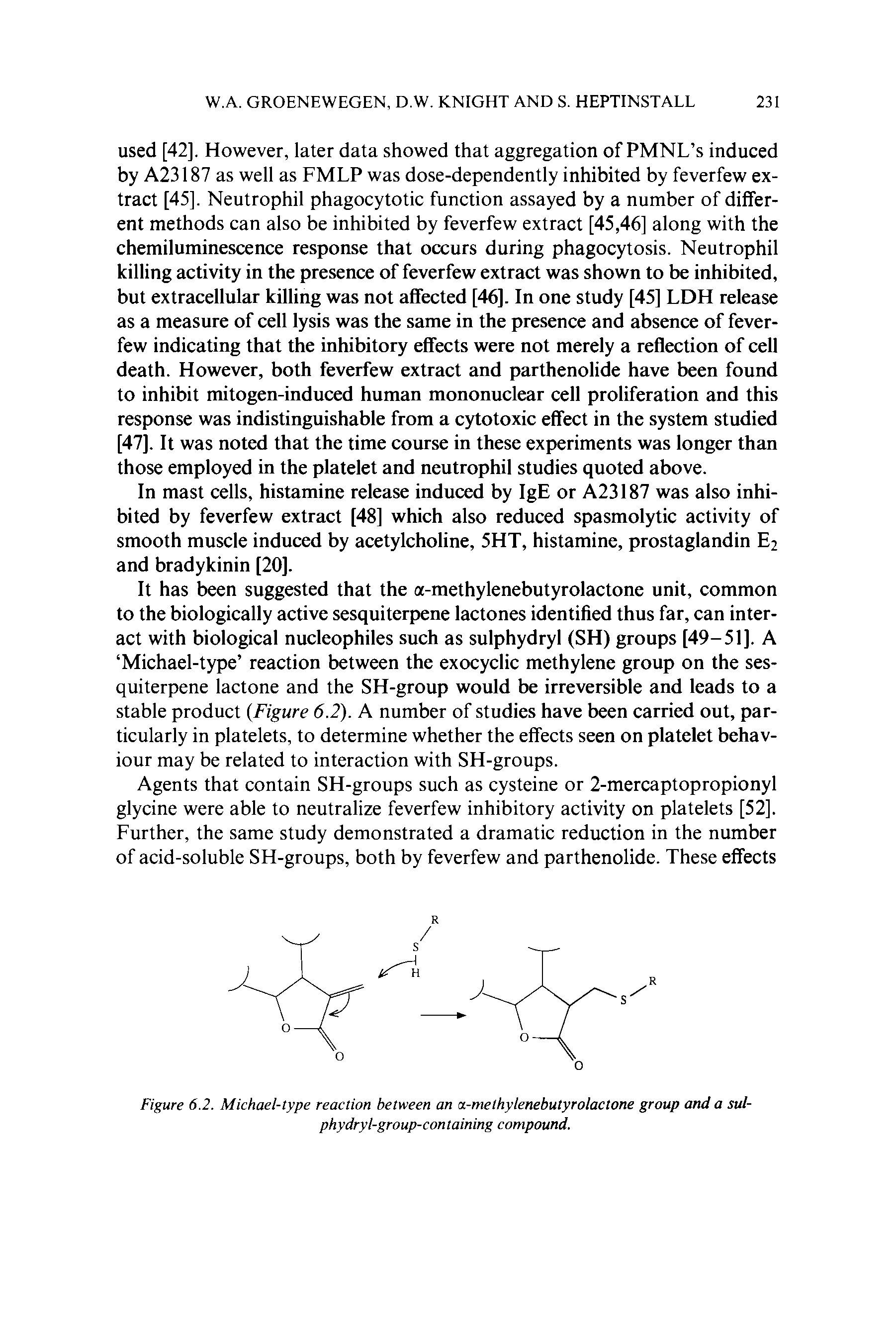 Figure 6.2. Michael-type reaction between an a-methylenebutyrolactone group and a sul-phydryl-group-containing compound.