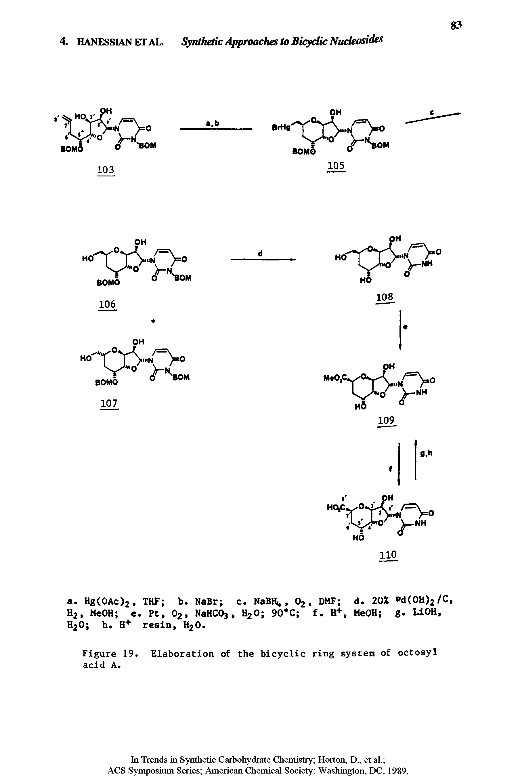 Figure 19. Elaboration of the bicydic ring system of octosyl acid Ae...
